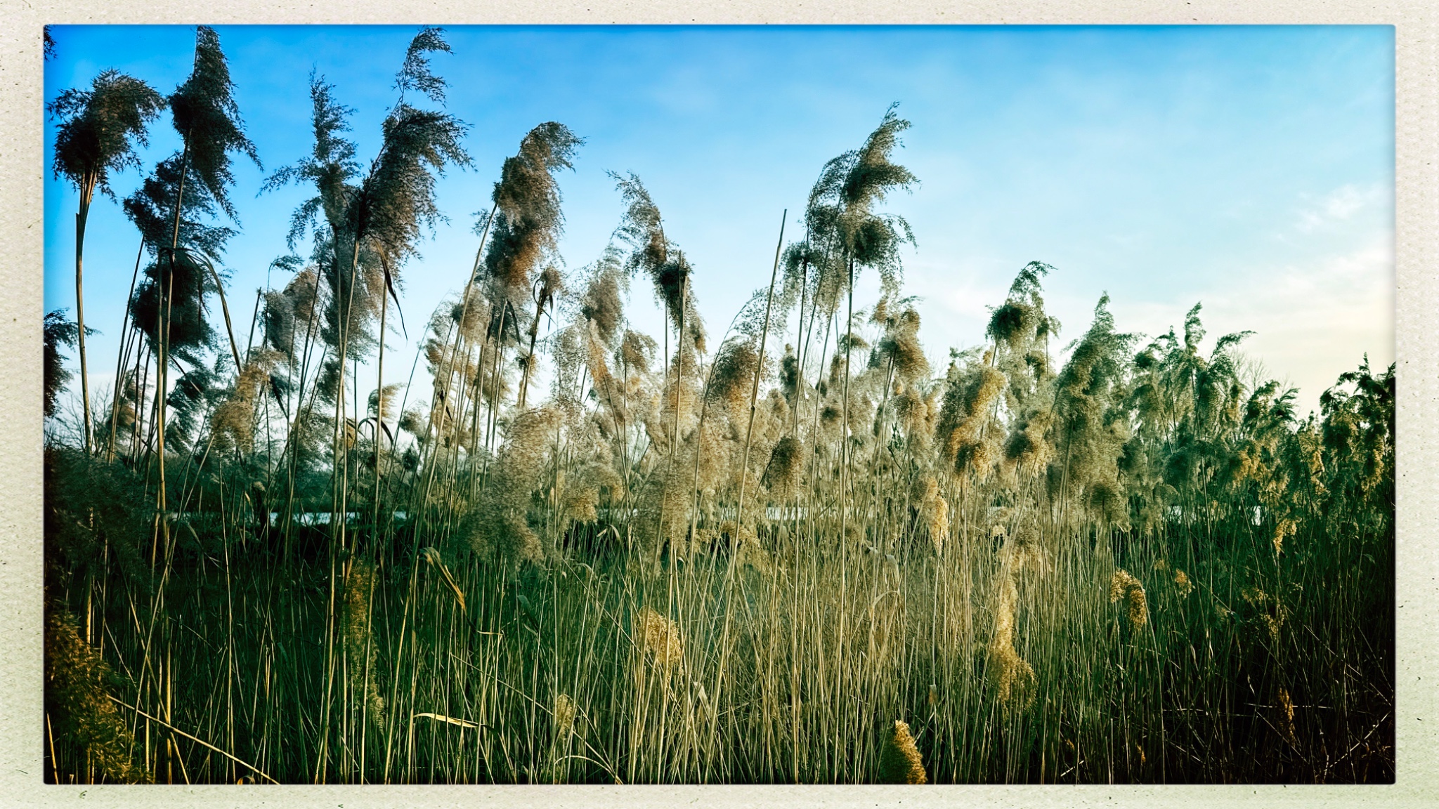 HipstamaticPhoto 794676651.382950