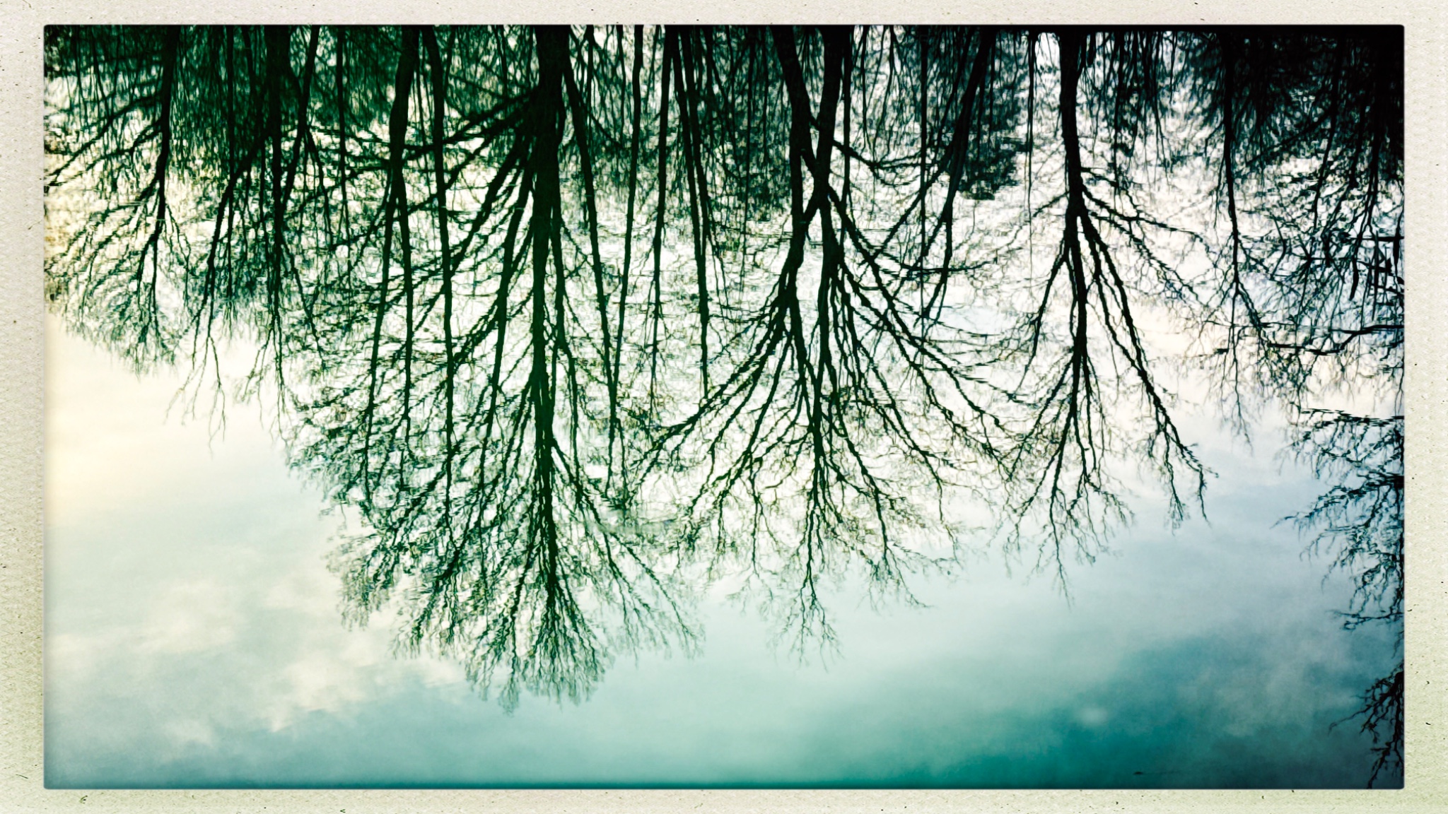 HipstamaticPhoto 794677500.103740