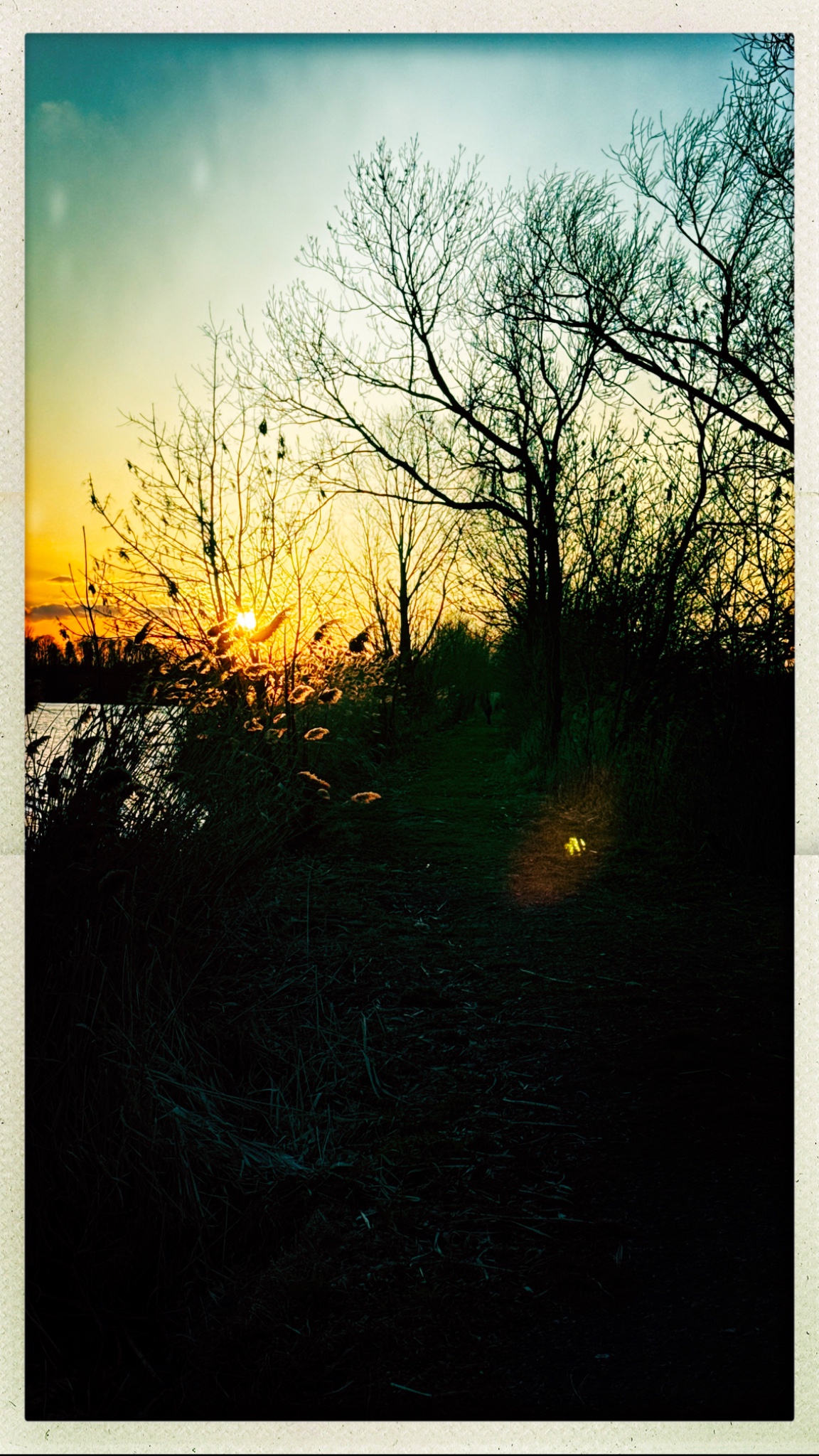 HipstamaticPhoto 795112261.763428