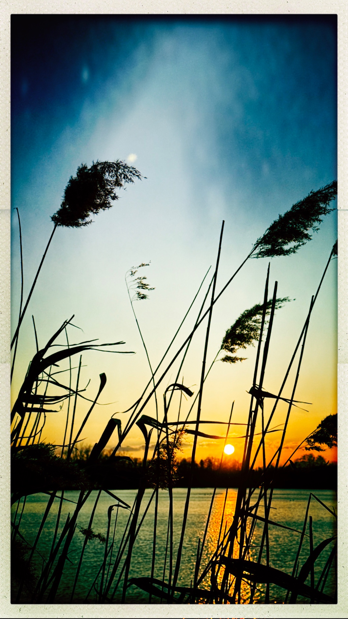 HipstamaticPhoto 795112320.838104