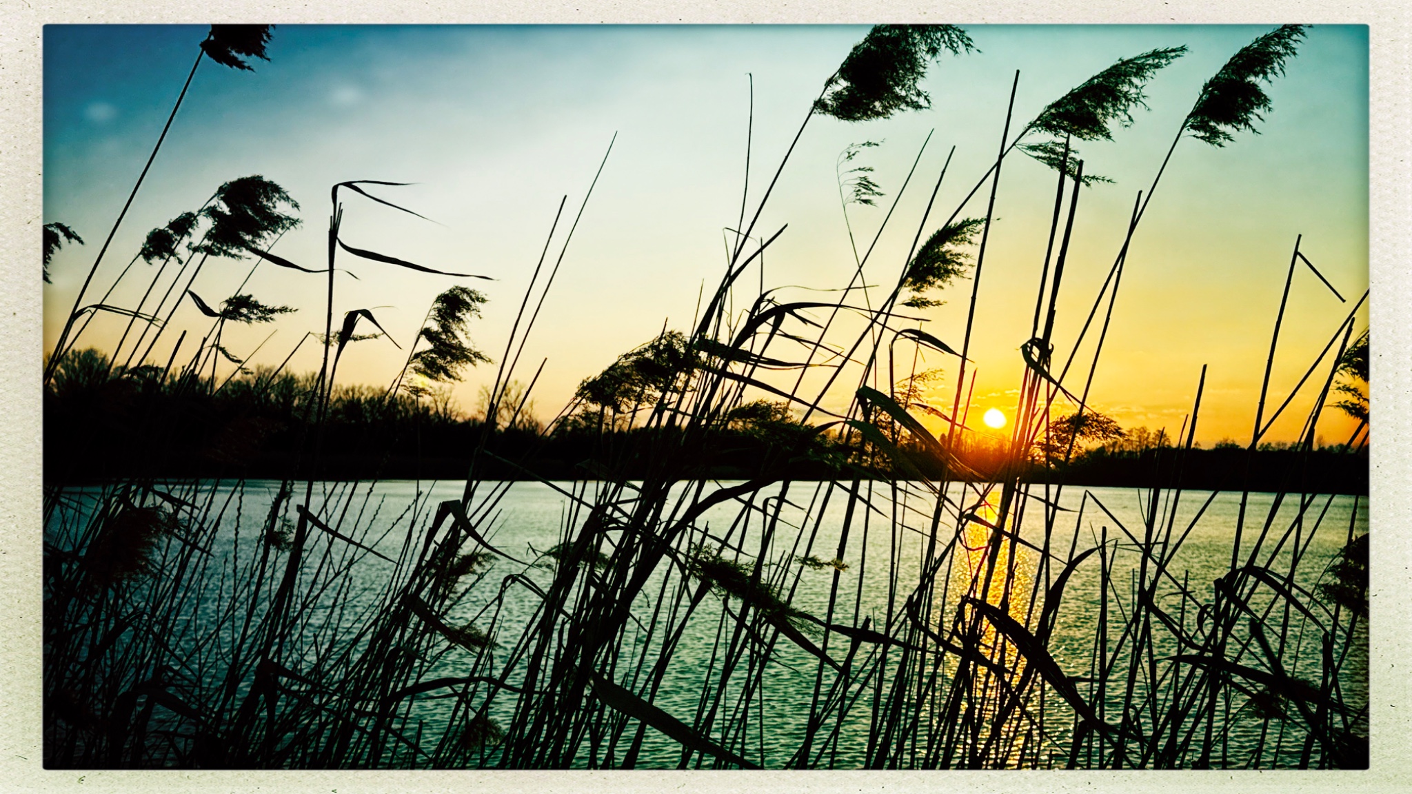 HipstamaticPhoto 795112337.853008