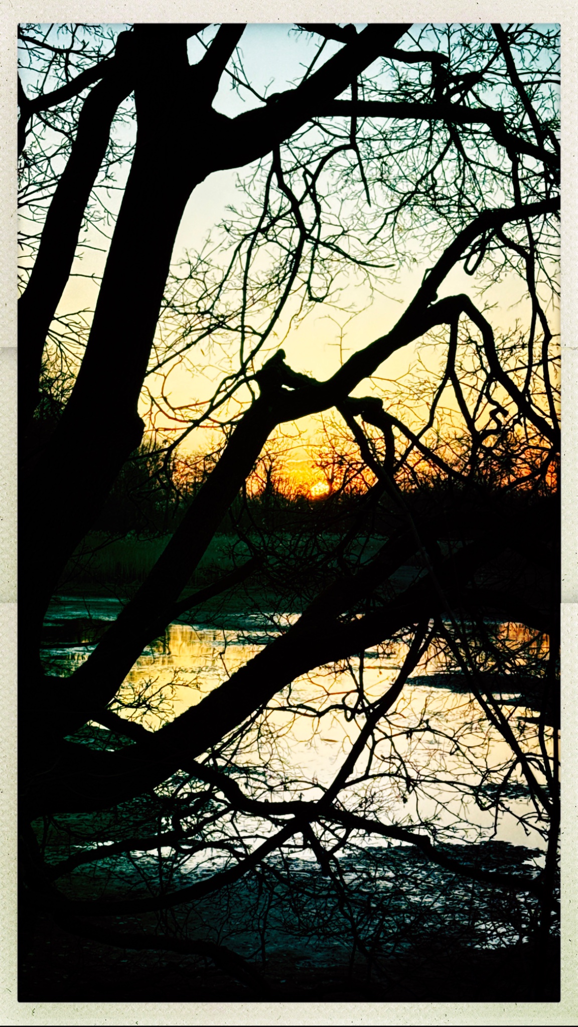 HipstamaticPhoto 795112578.732508