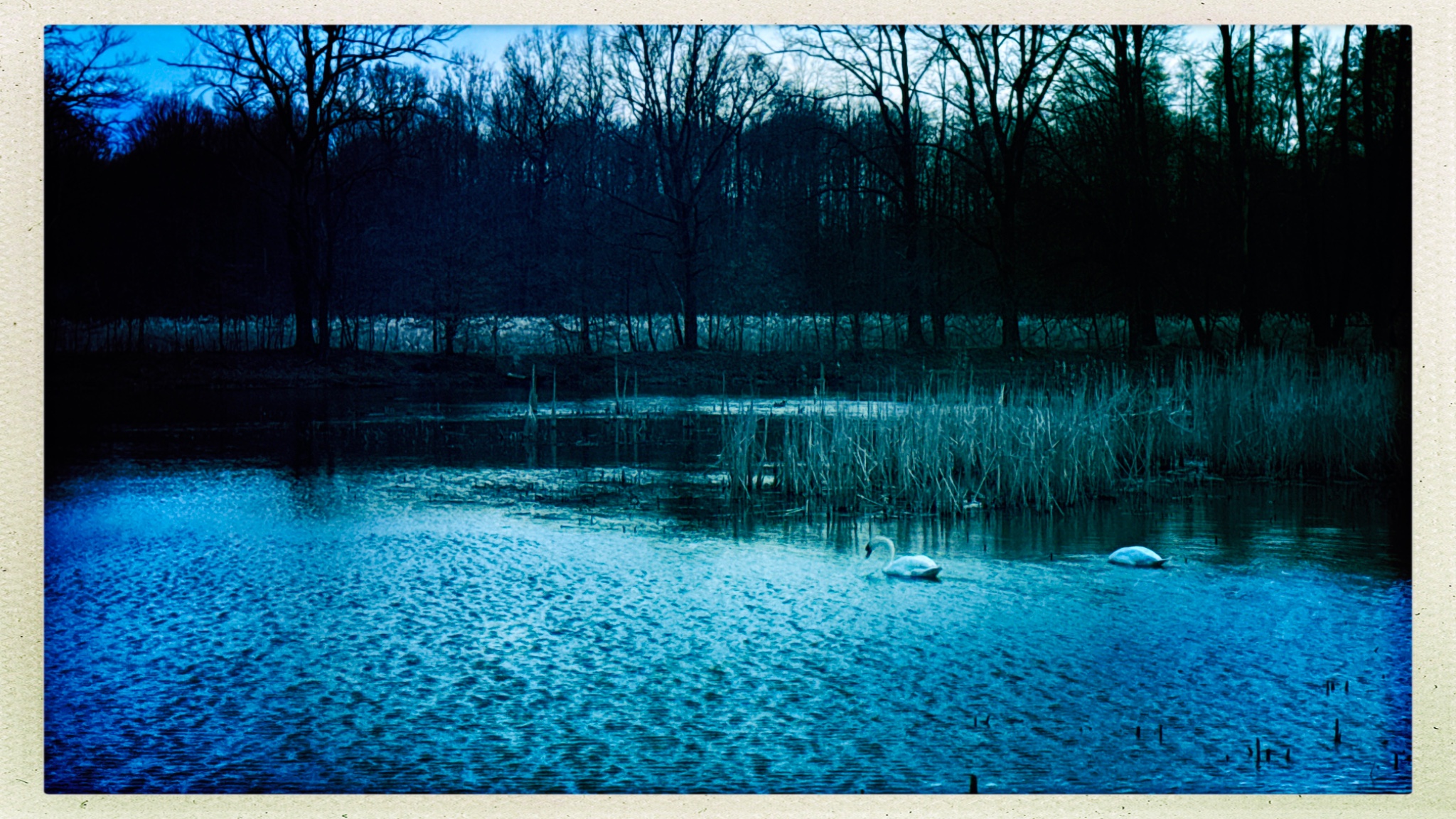 HipstamaticPhoto 795200983.503363