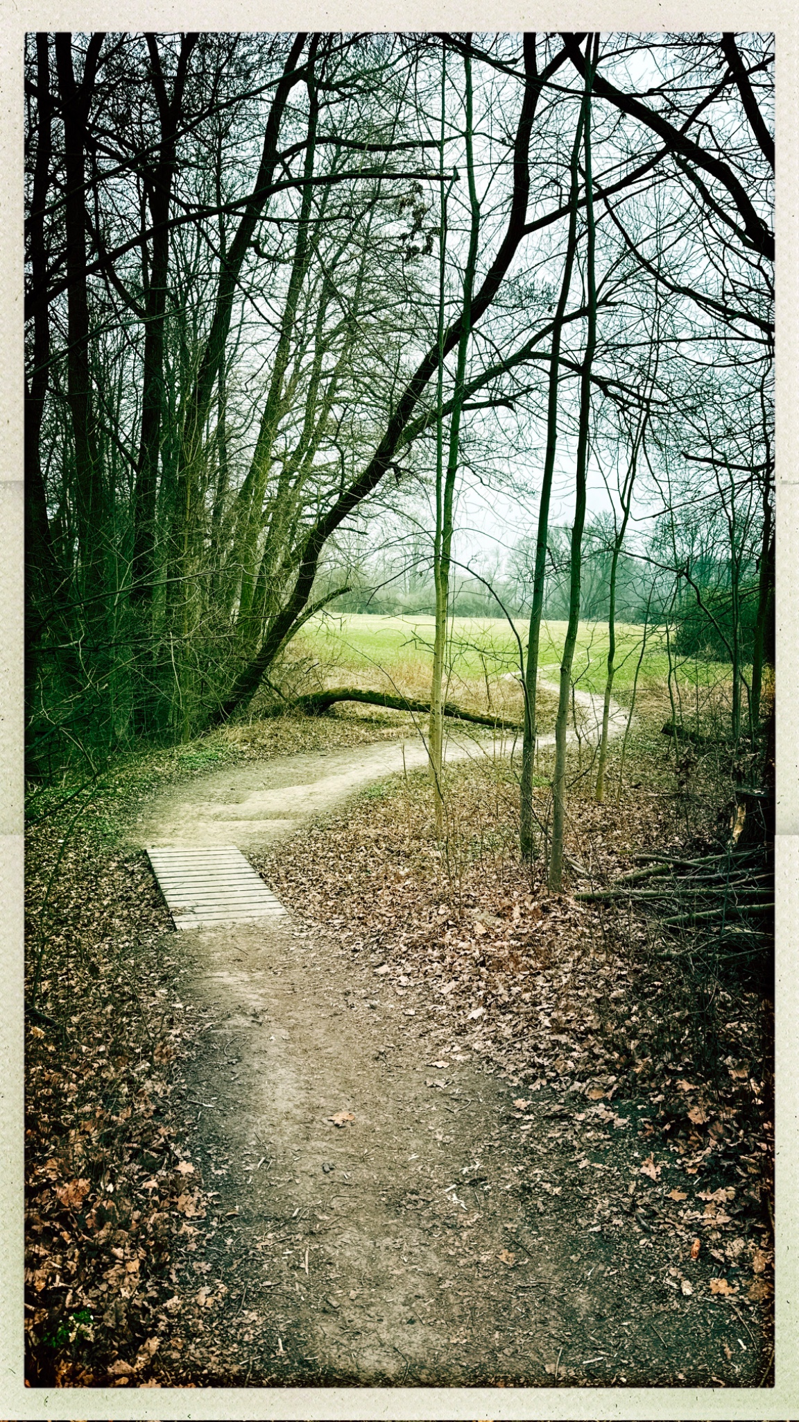 HipstamaticPhoto 795349810.405266