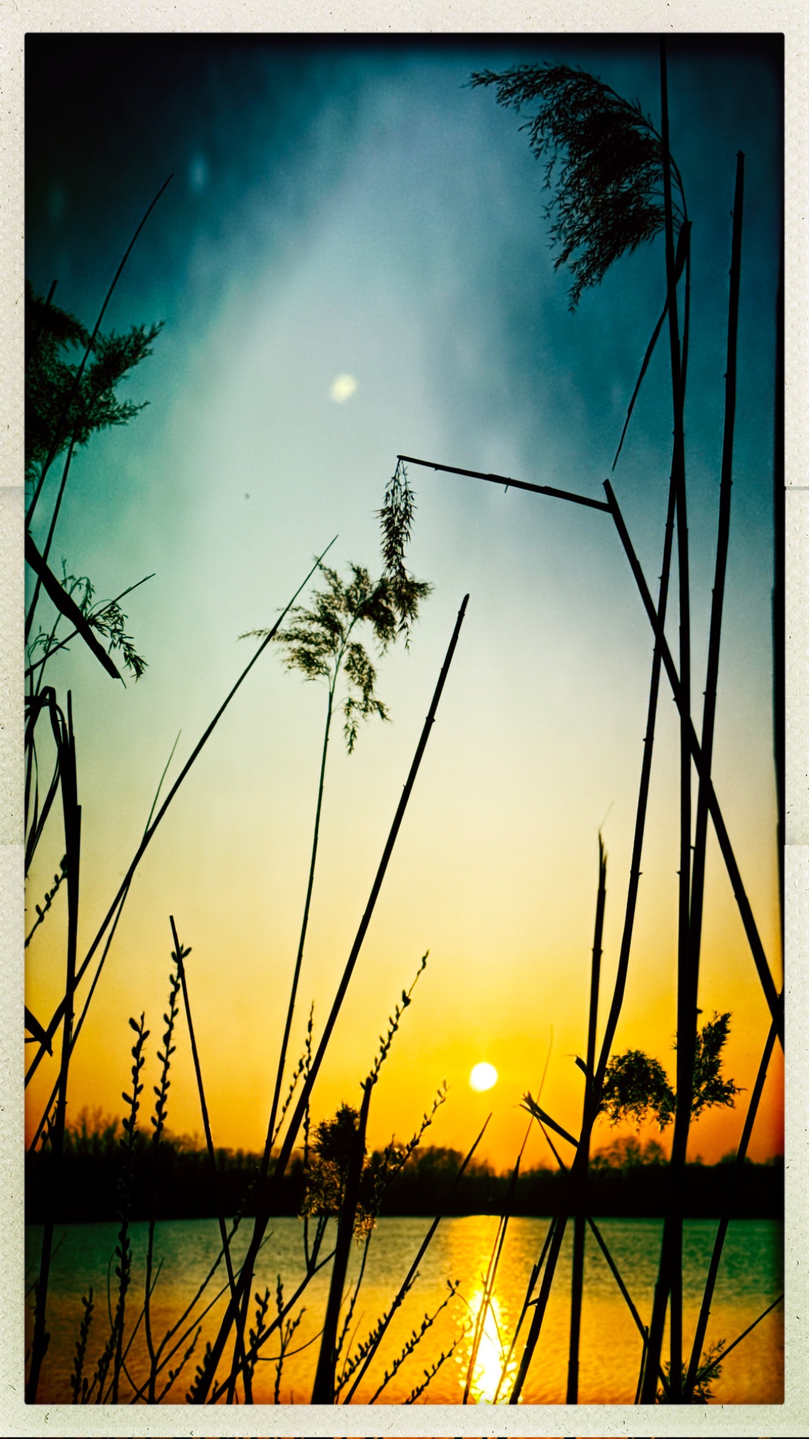 HipstamaticPhoto 795544254.873833