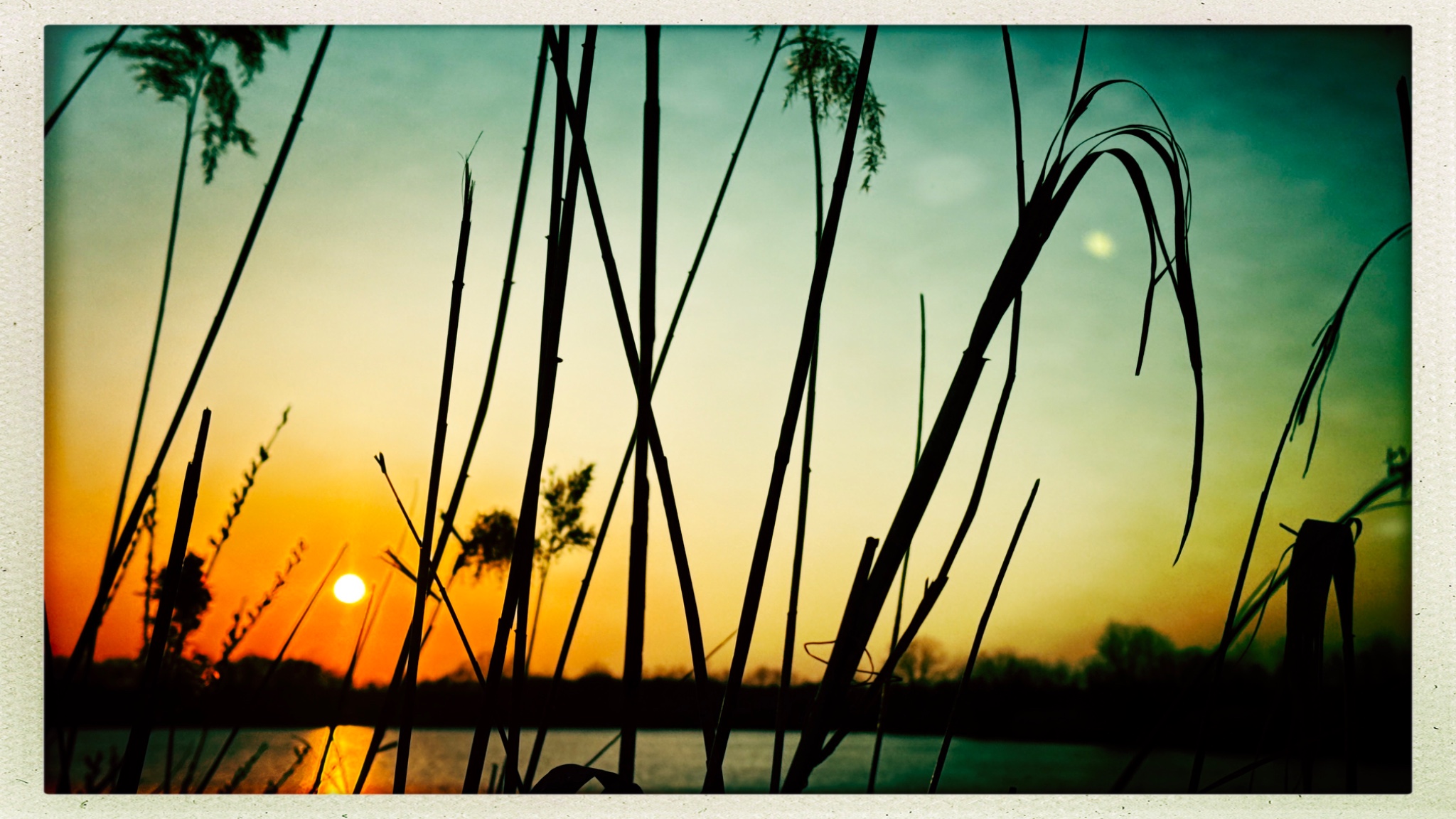 HipstamaticPhoto 795544262.003974