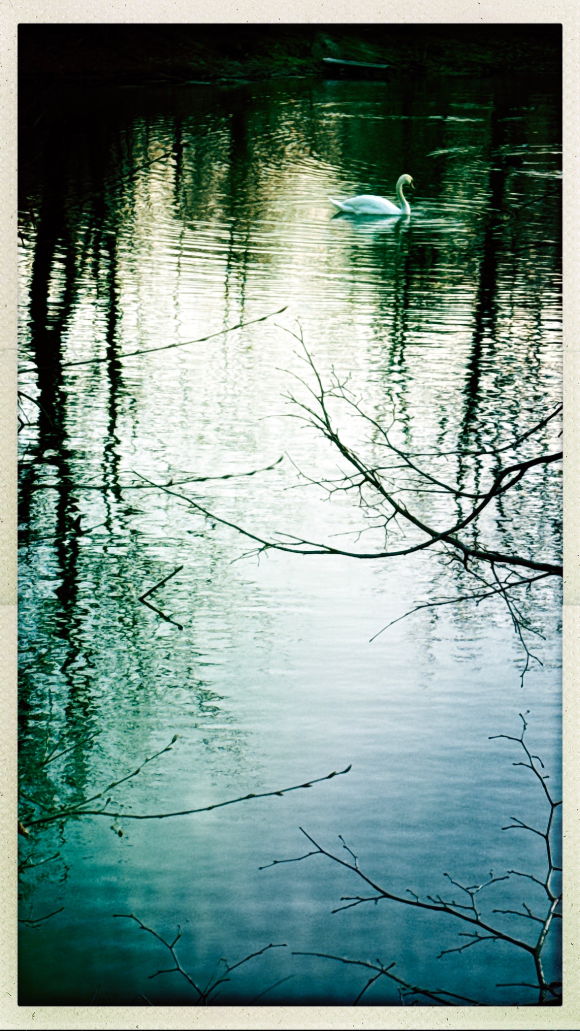 HipstamaticPhoto 795545382.049245