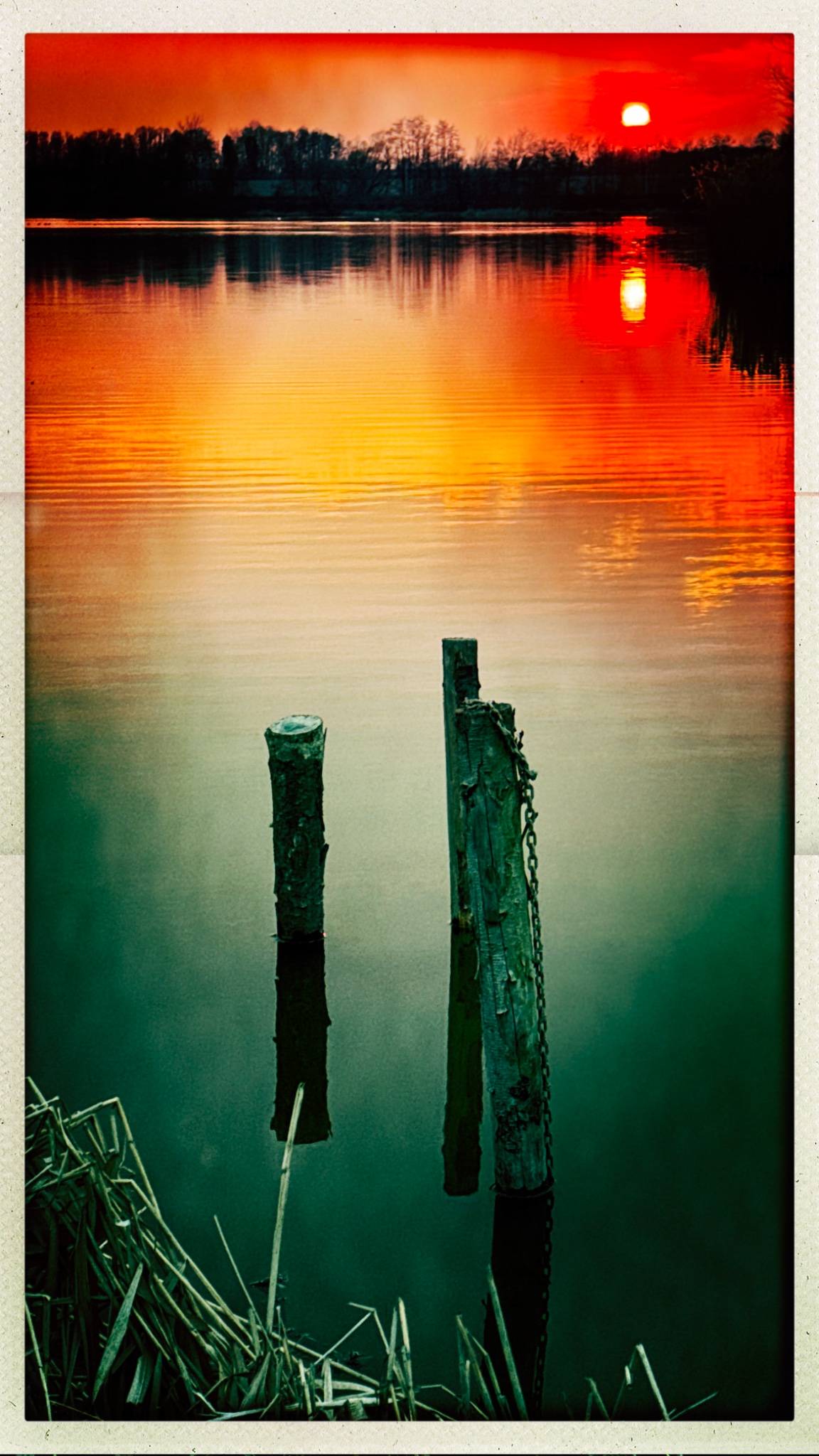 HipstamaticPhoto 795631416.734841