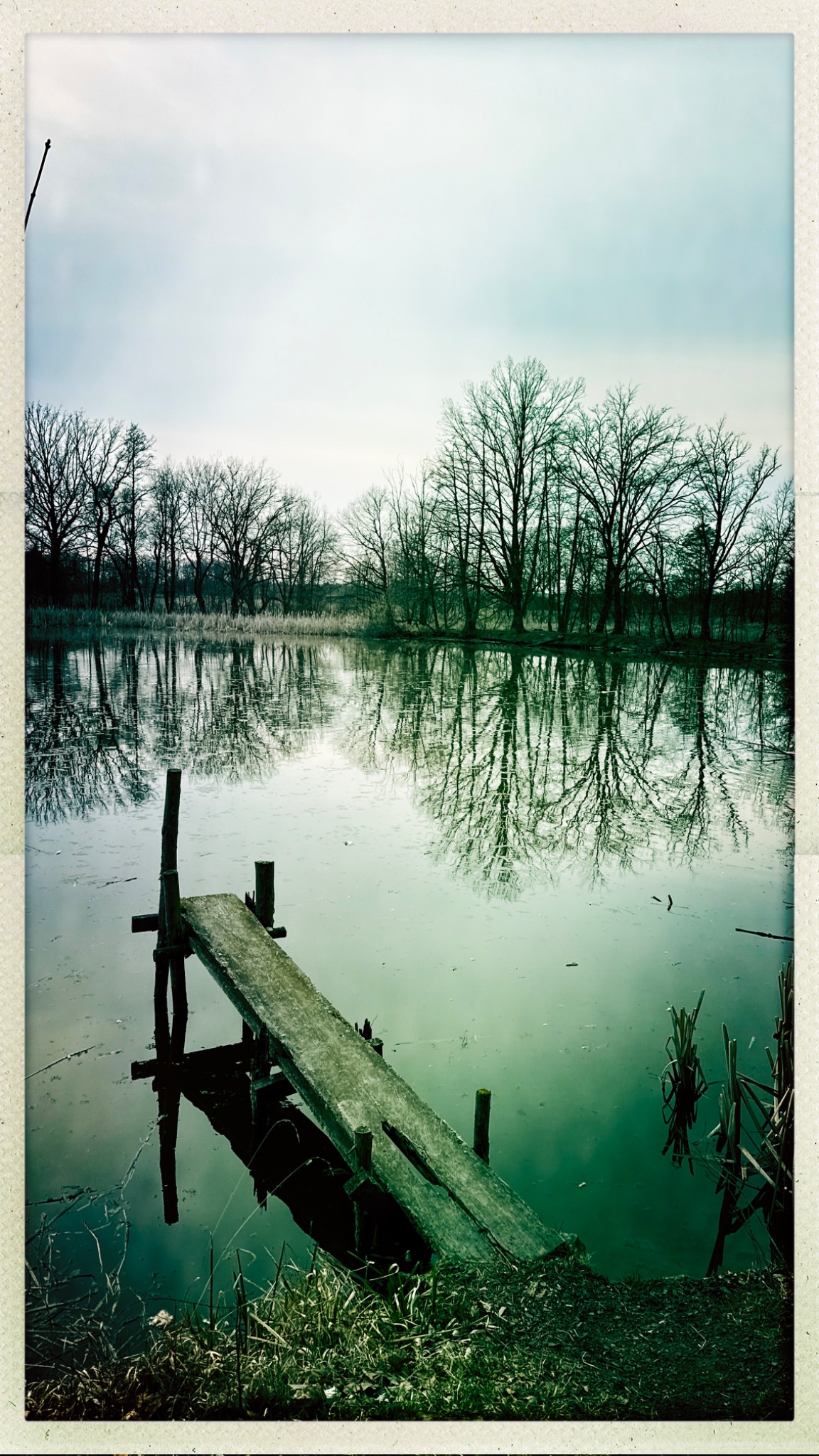 HipstamaticPhoto 796062267.585457