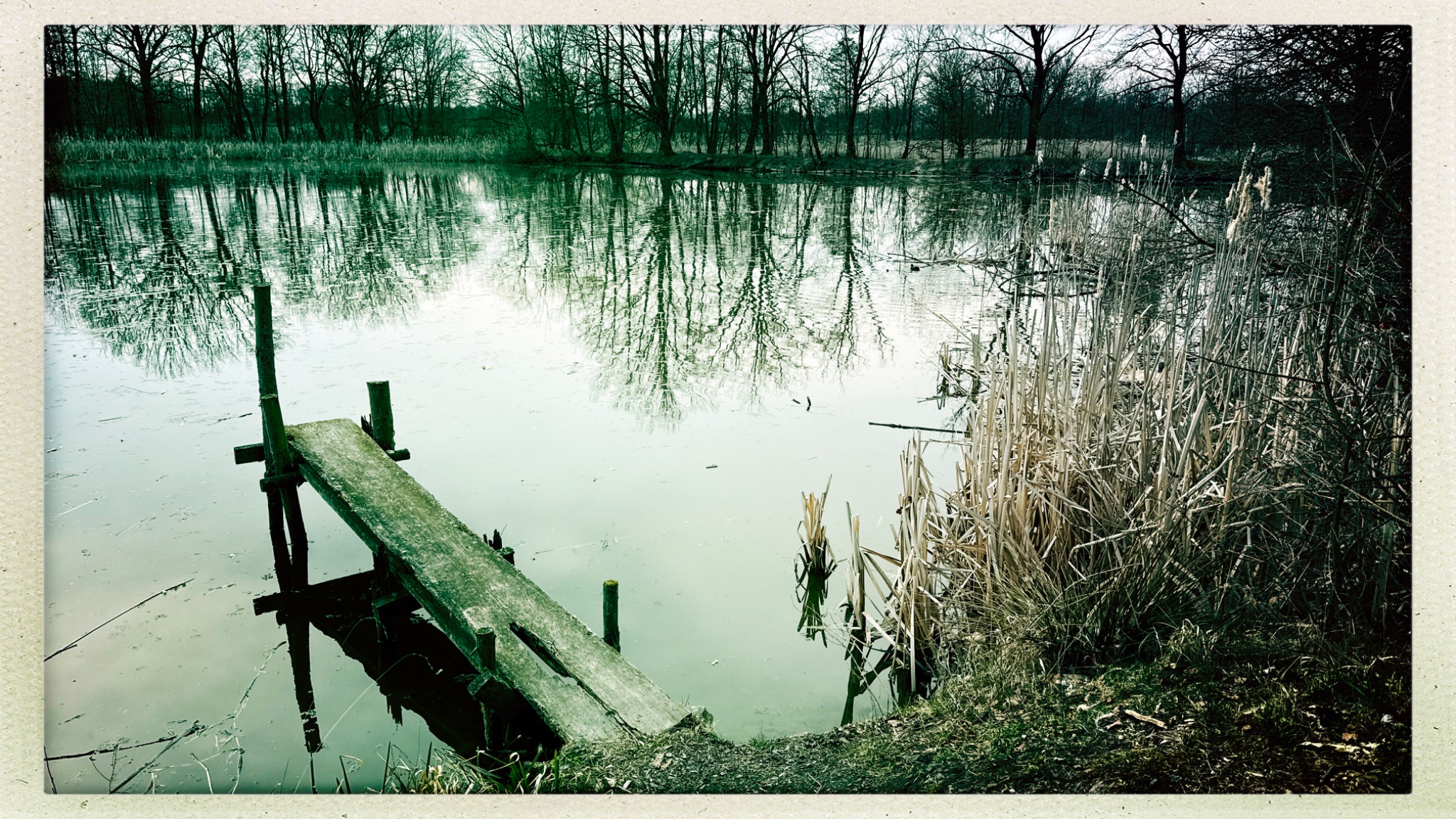 HipstamaticPhoto 796062274.916685