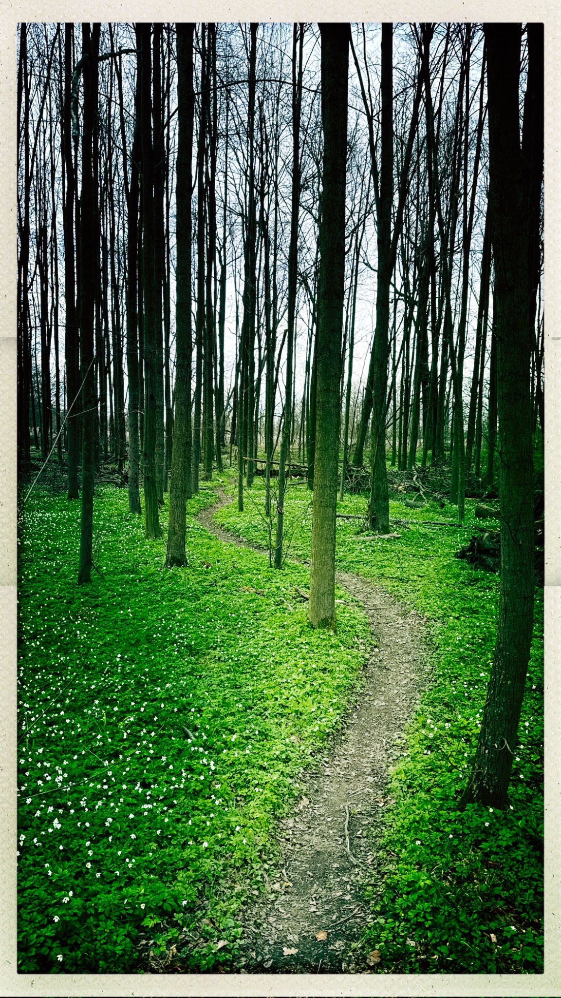 HipstamaticPhoto 797009668.130058