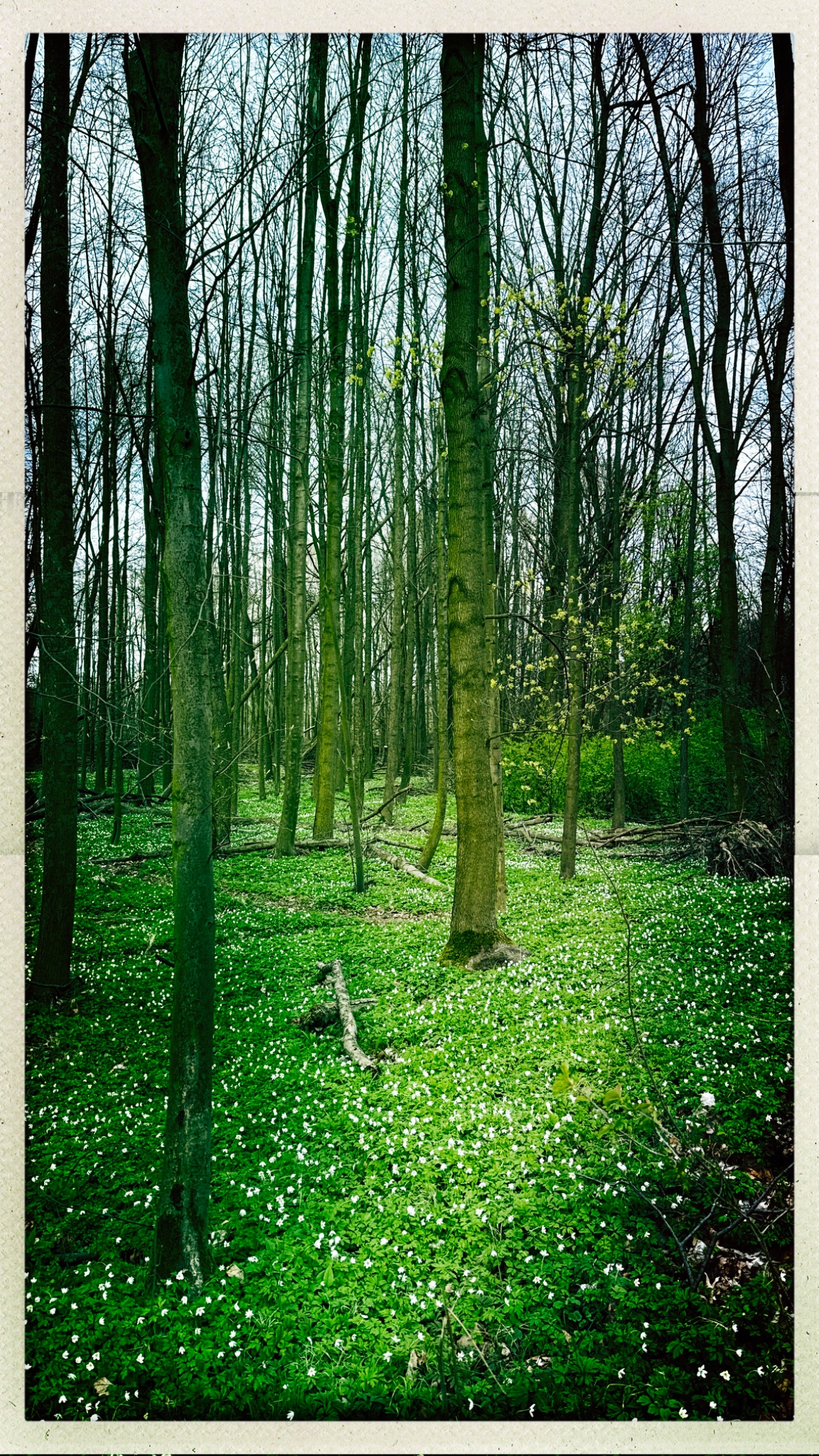 HipstamaticPhoto 797009701.470310