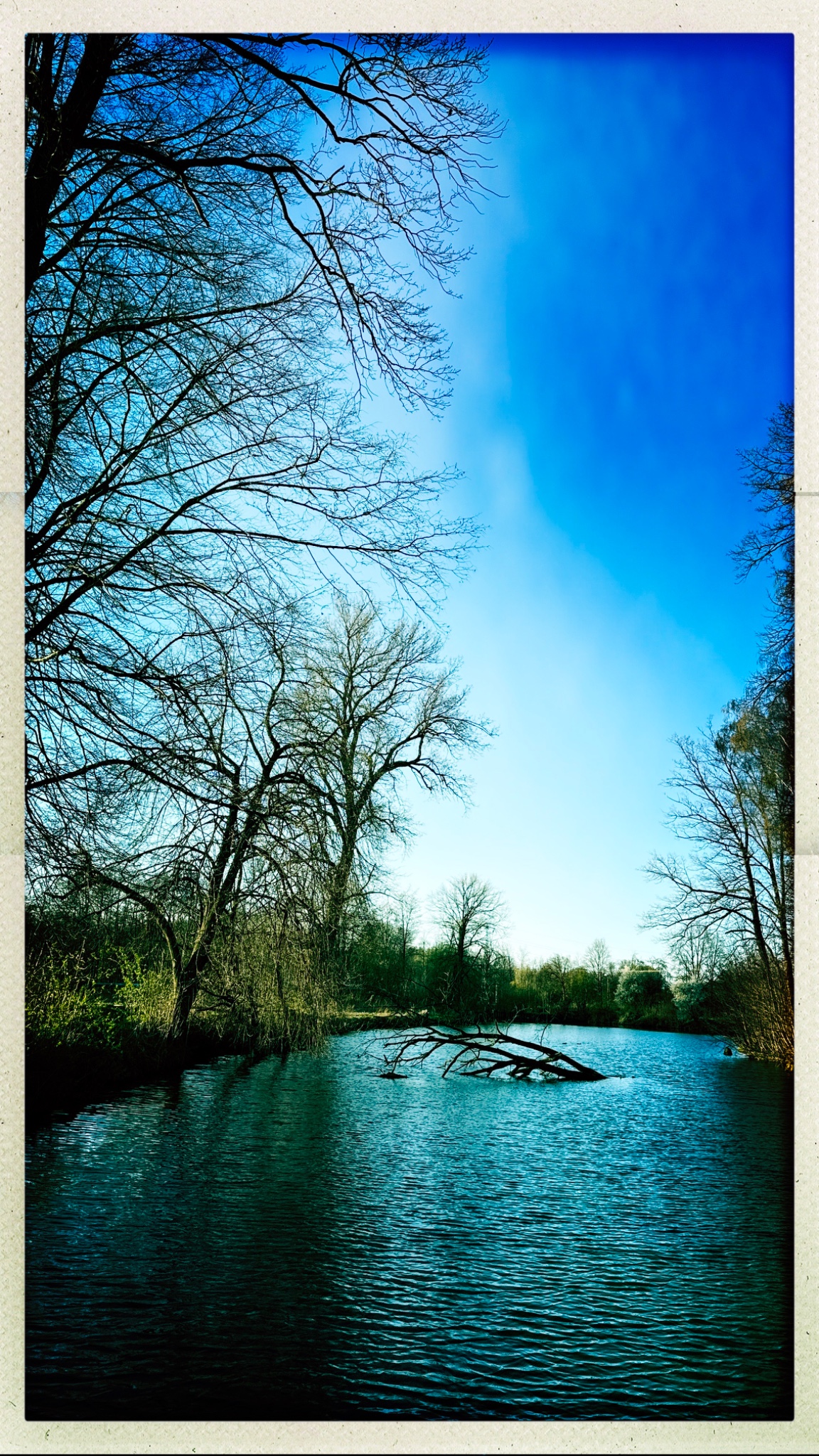 HipstamaticPhoto 797185631.400111