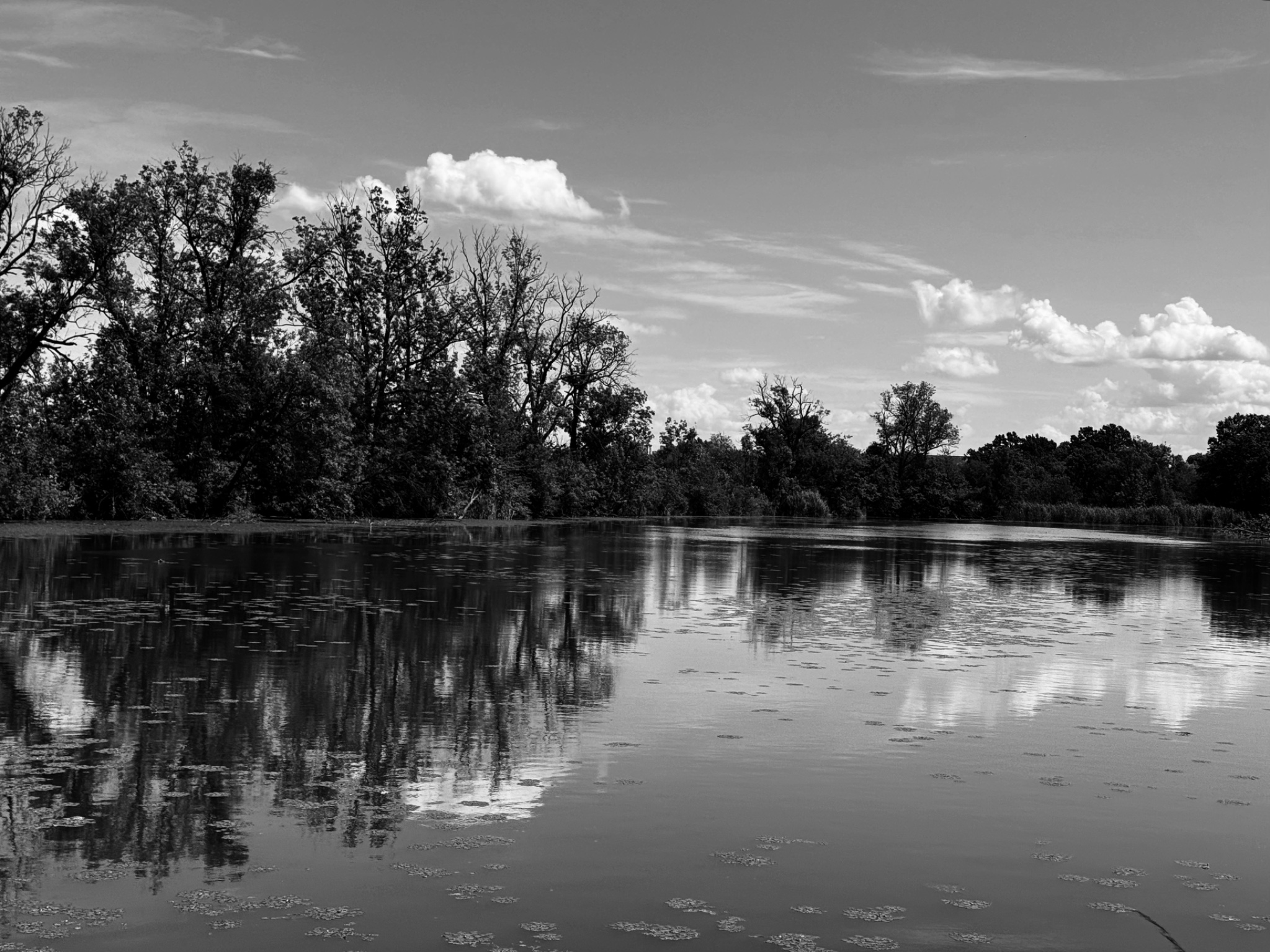 IMG 0010 SnapseedCopy