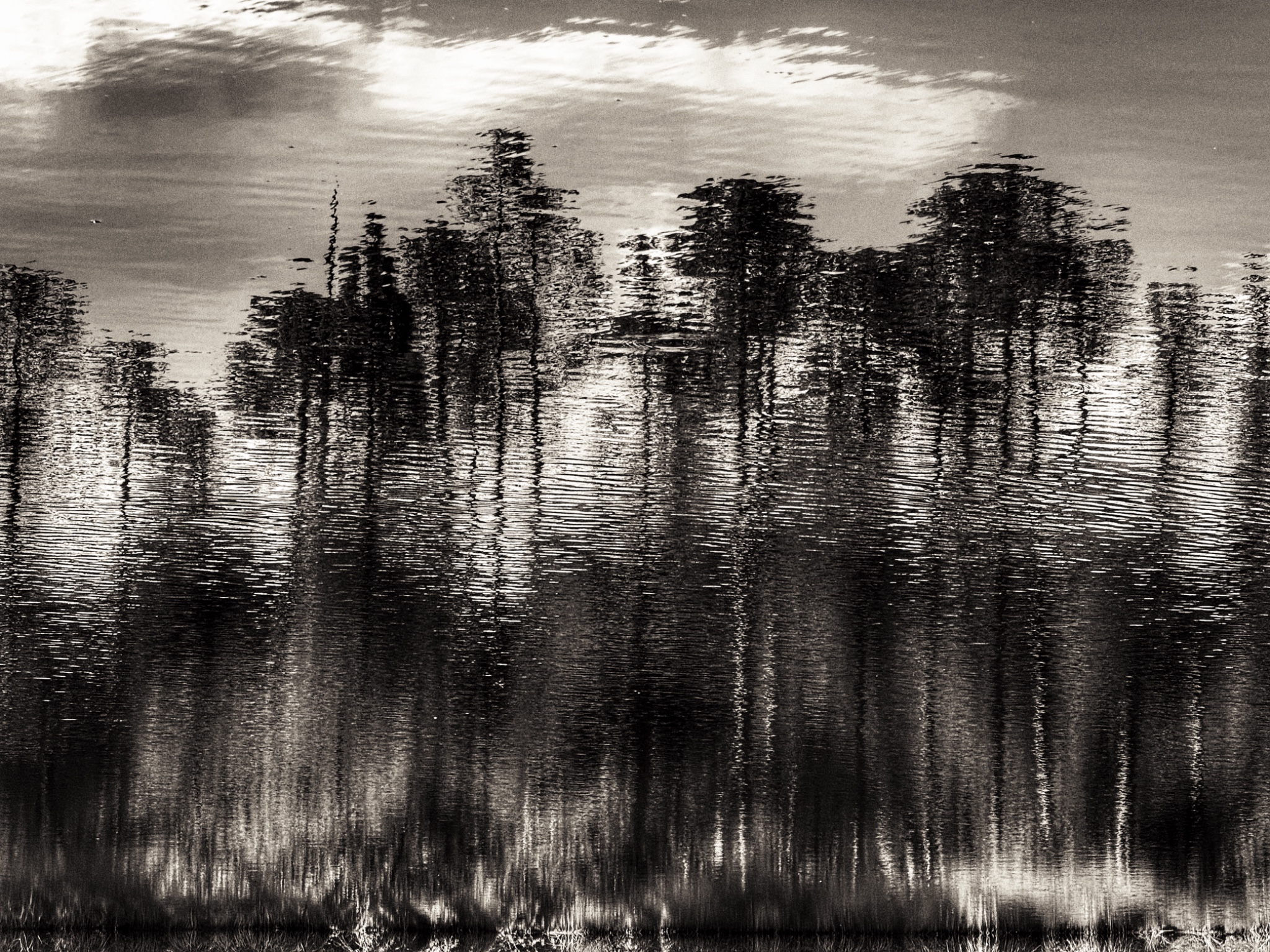 IMG 0806 SnapseedCopy