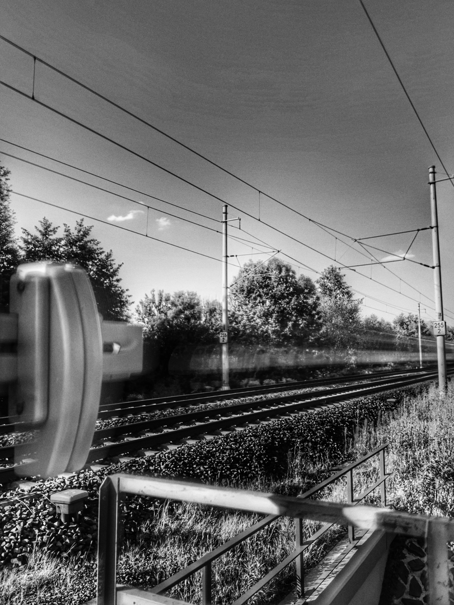 IMG 0902 SnapseedCopy