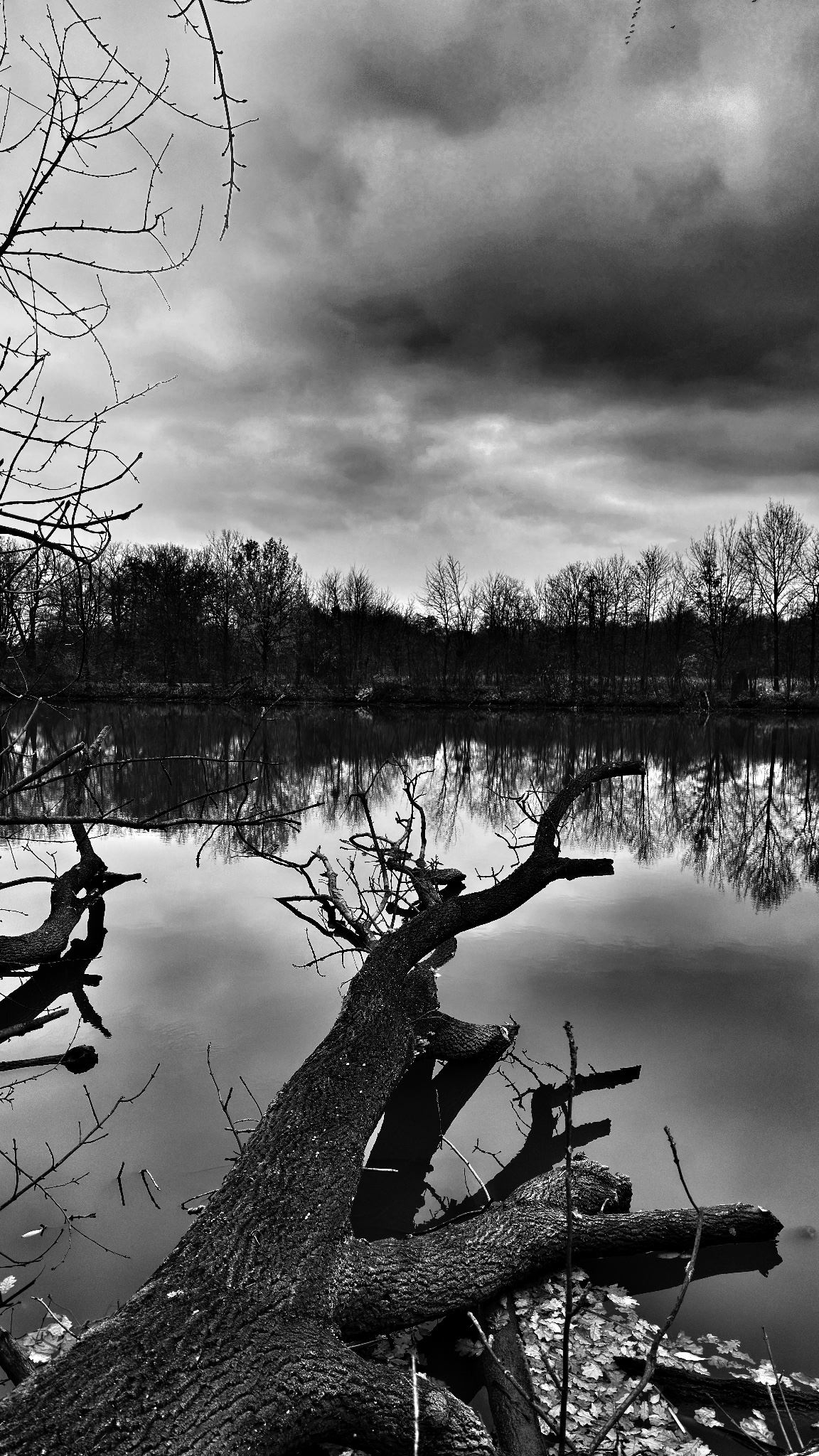 IMG 2542 SnapseedCopy