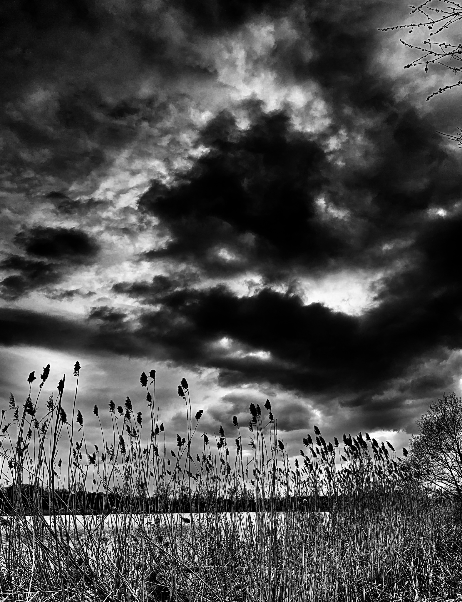 IMG 4622 SnapseedCopy1