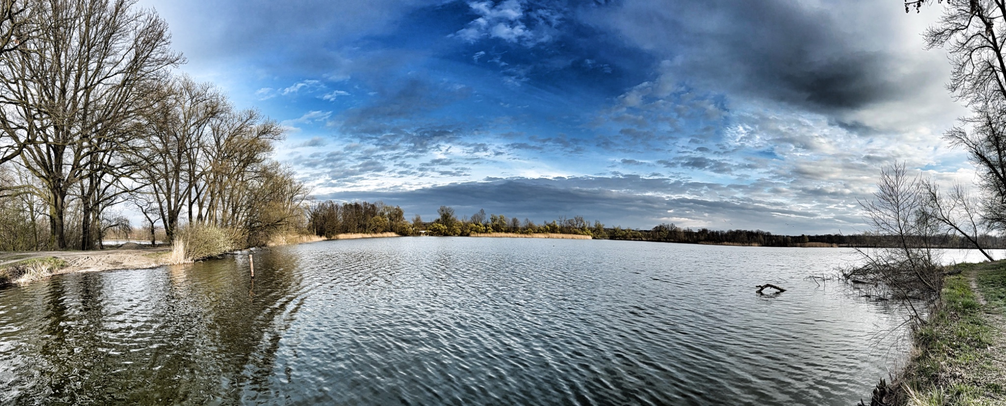 IMG 4679 SnapseedCopy