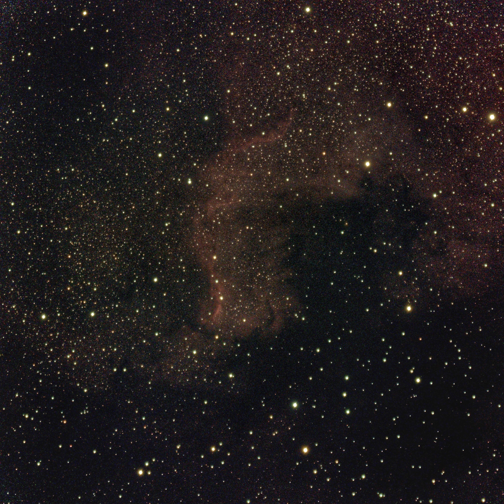 NGC7000 200