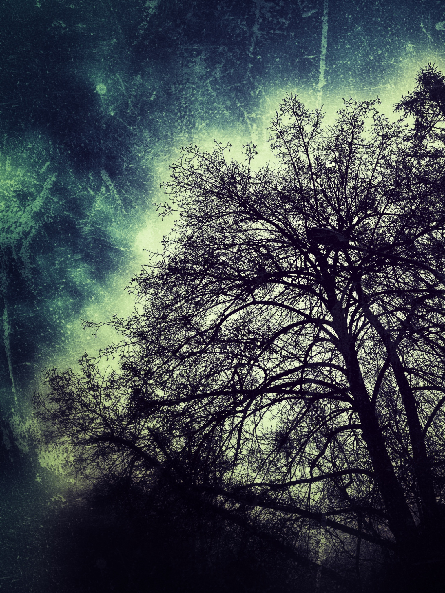 OriginalPhoto 756044773.778902