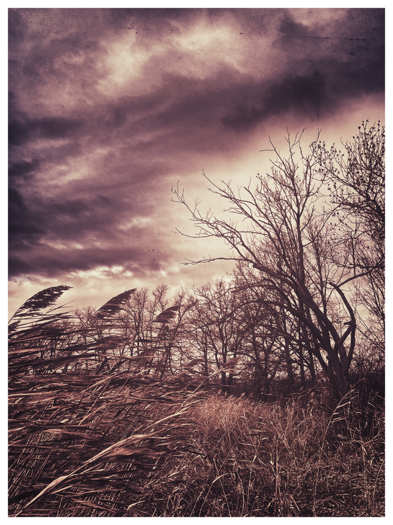 OriginalPhoto 756123648.951562