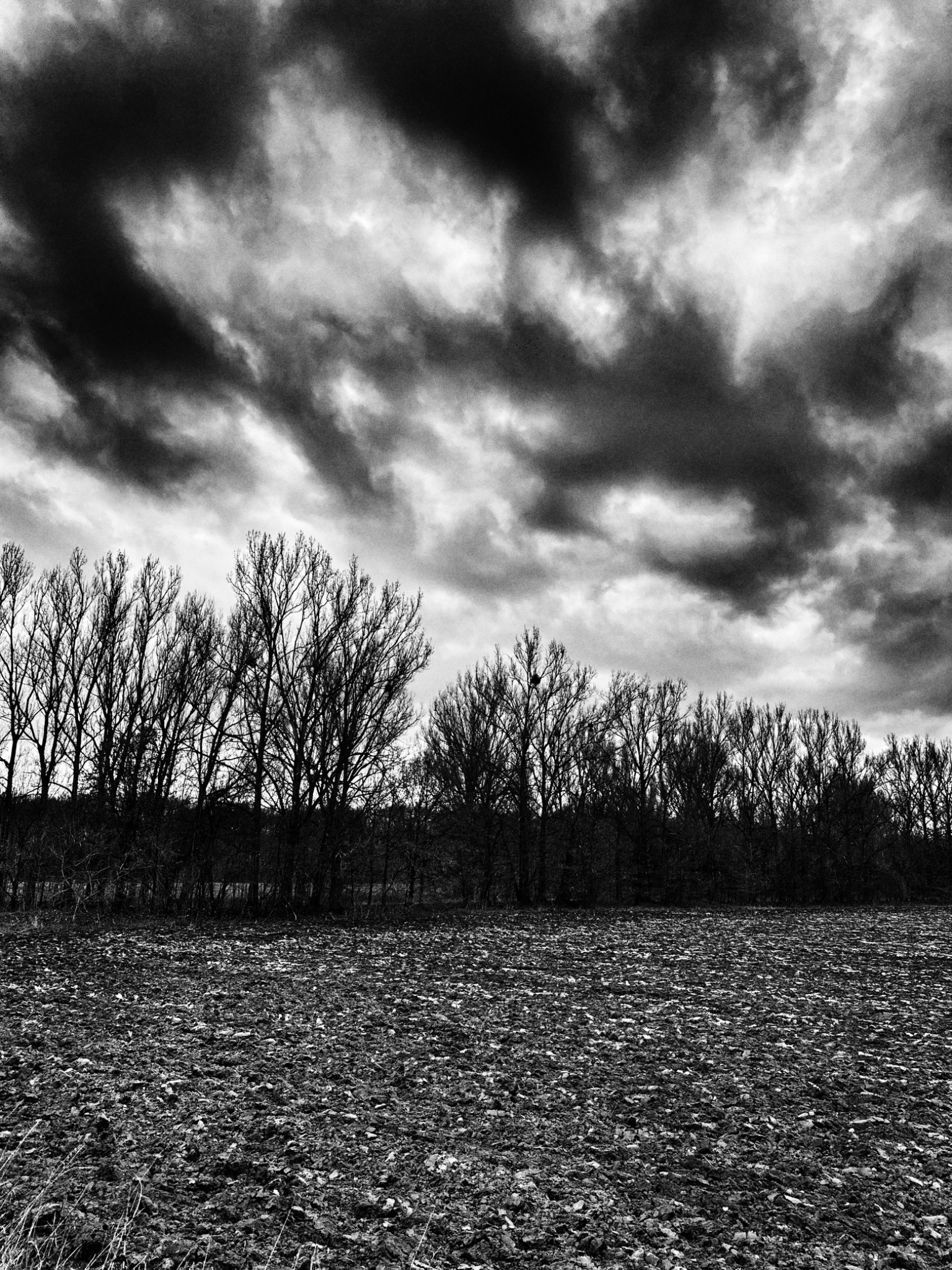 OriginalPhoto 756127478.158546