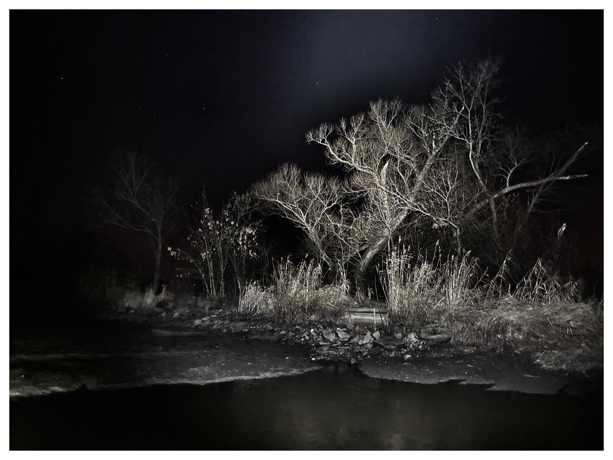 OriginalPhoto 756841096.712354