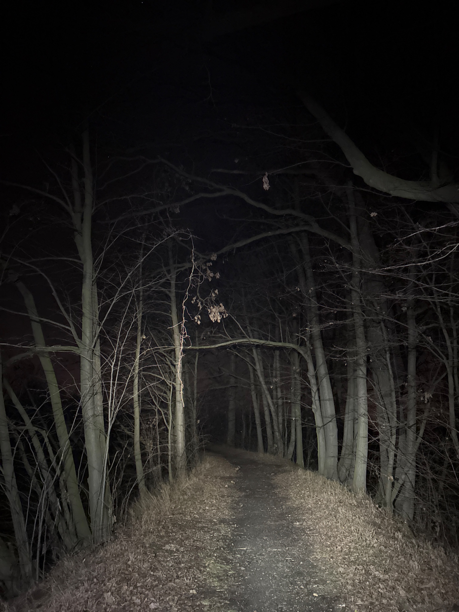 OriginalPhoto 756845618.194435