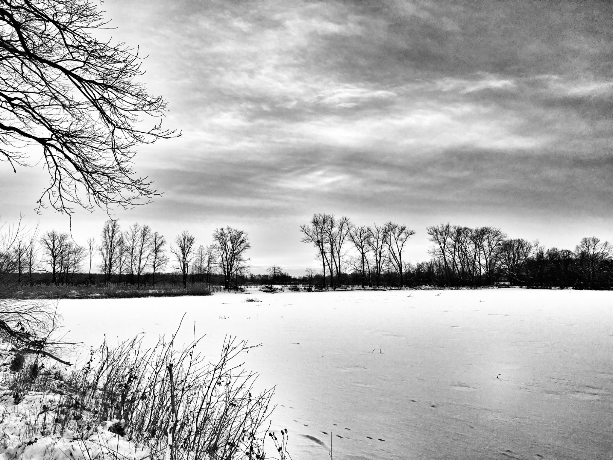 OriginalPhoto 757693893.057634