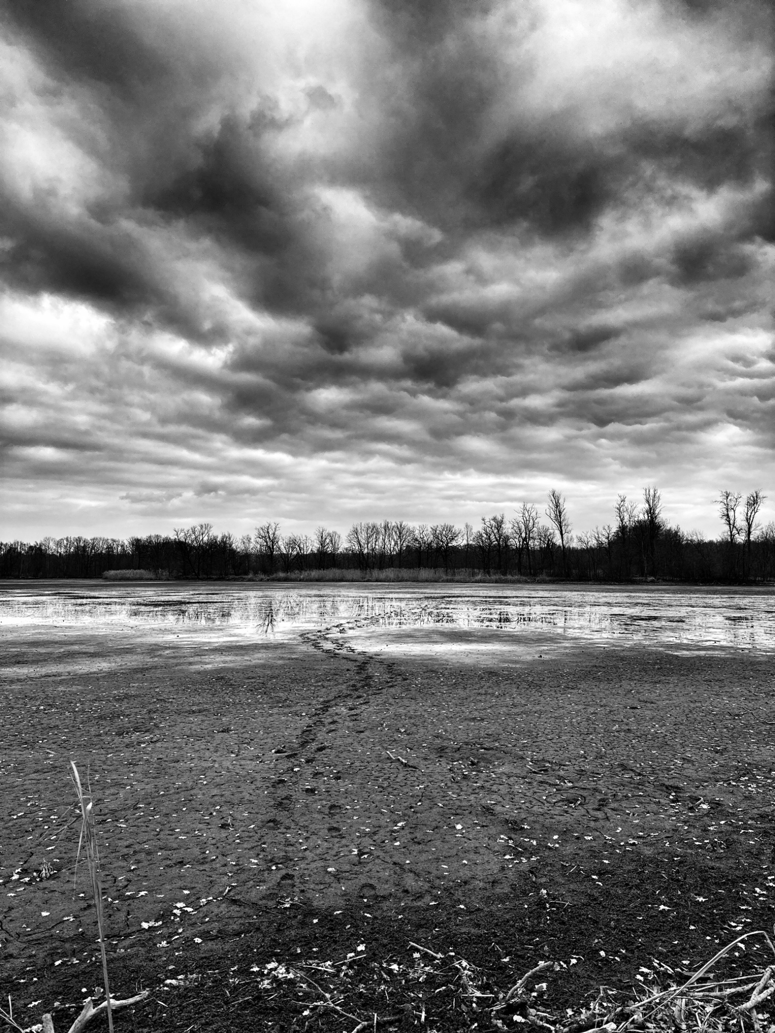 OriginalPhoto 760199602.288839