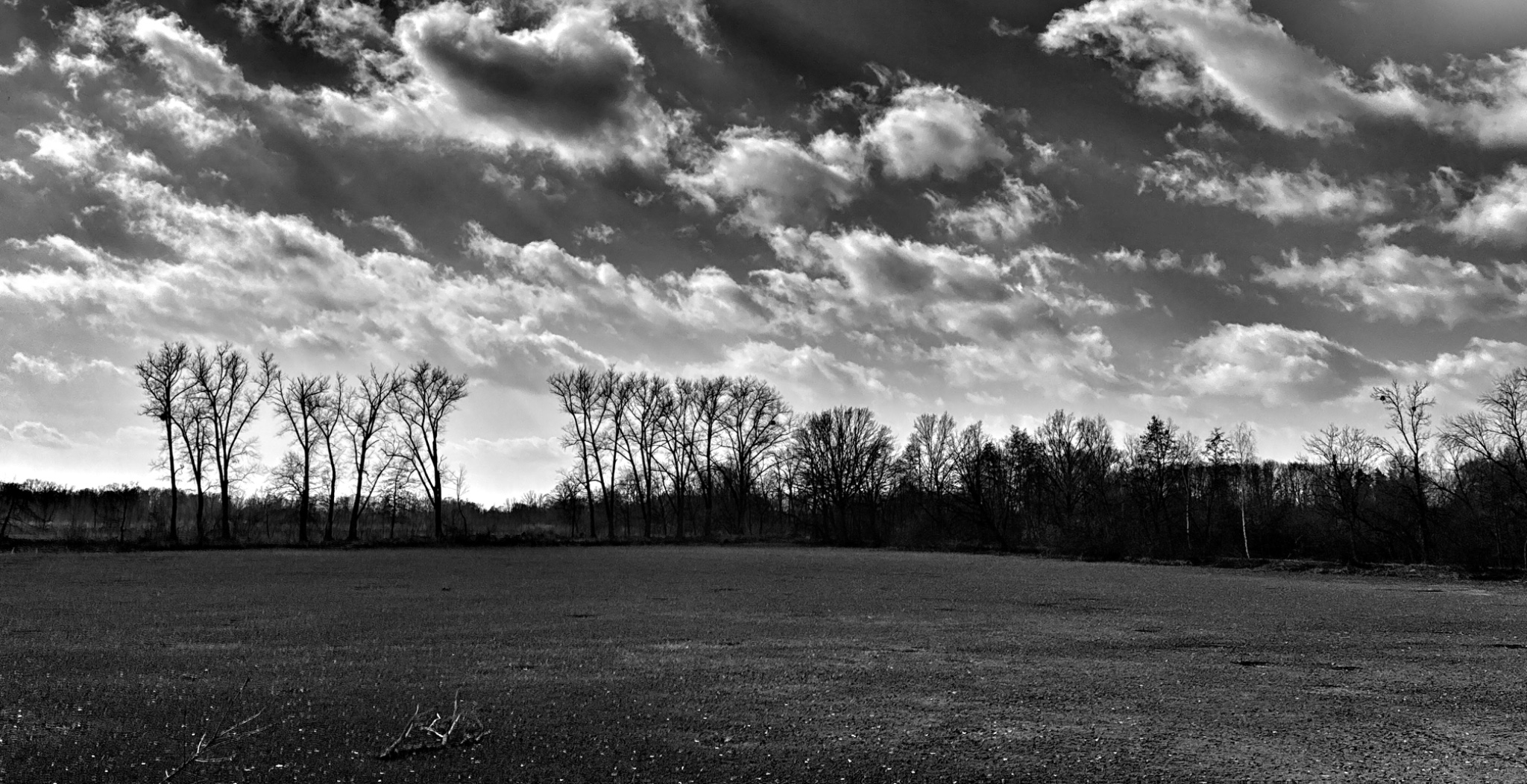 OriginalPhoto 762608064.06921