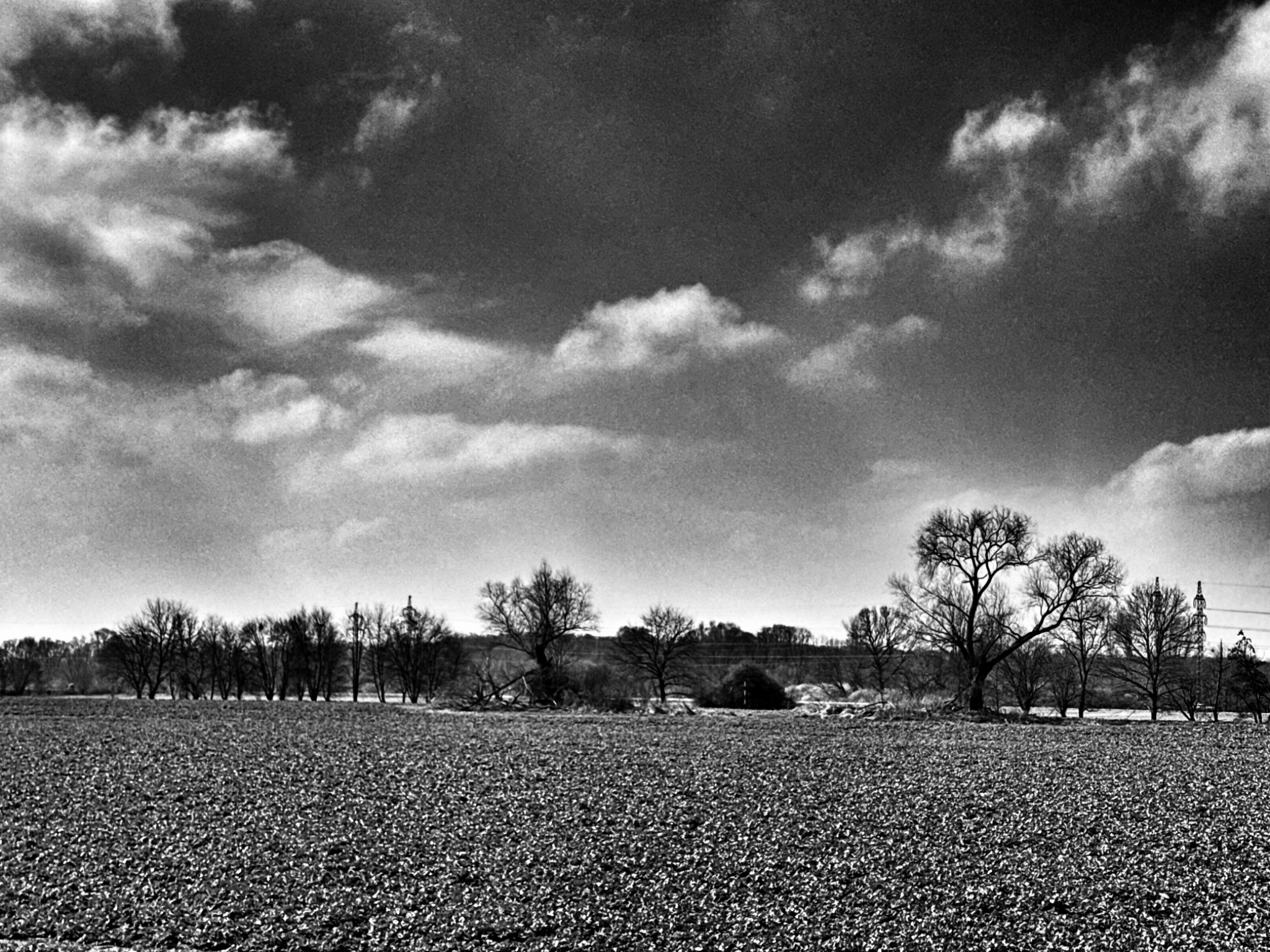 OriginalPhoto 764848098.235023