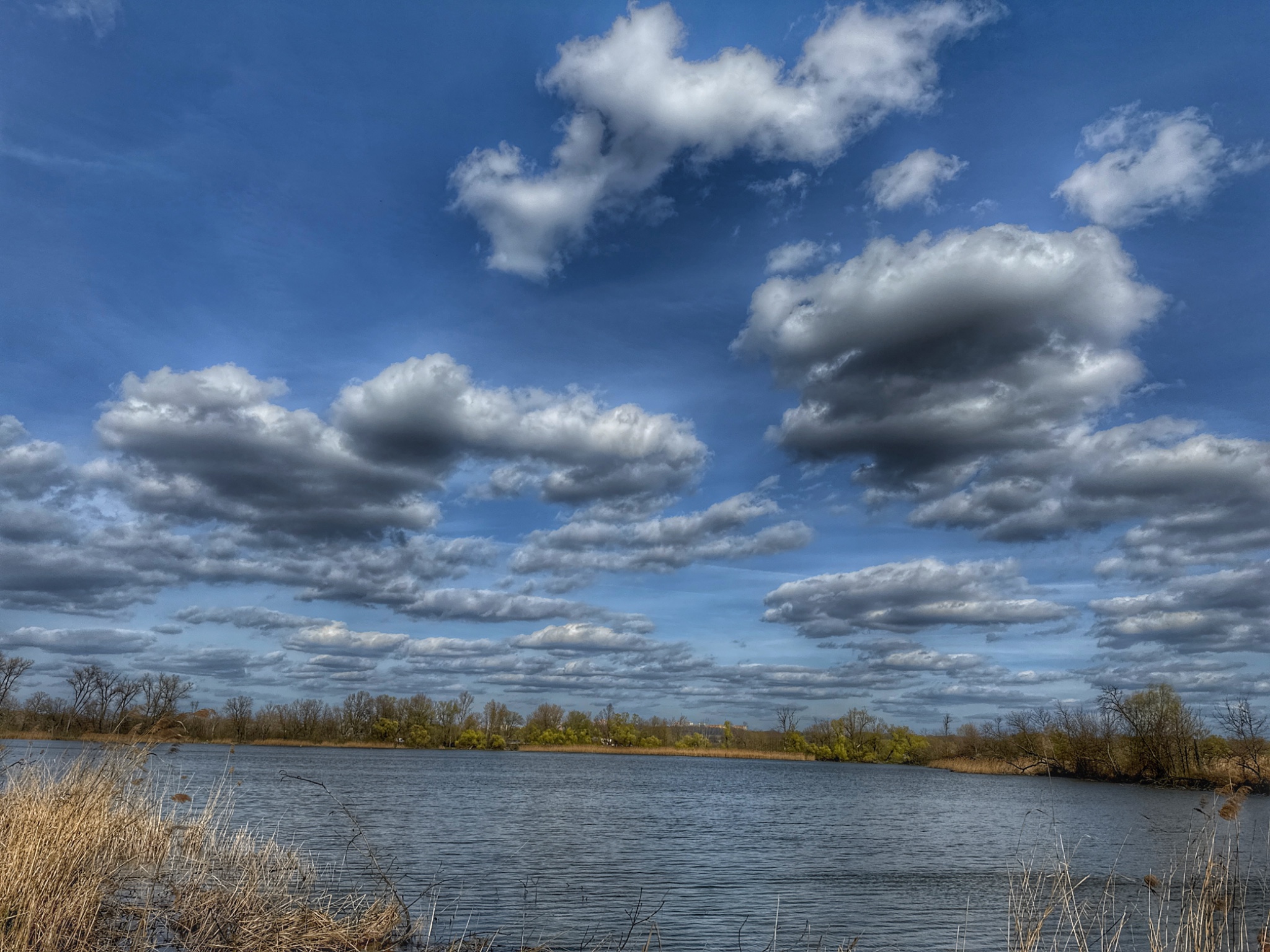 OriginalPhoto 765988434.013525