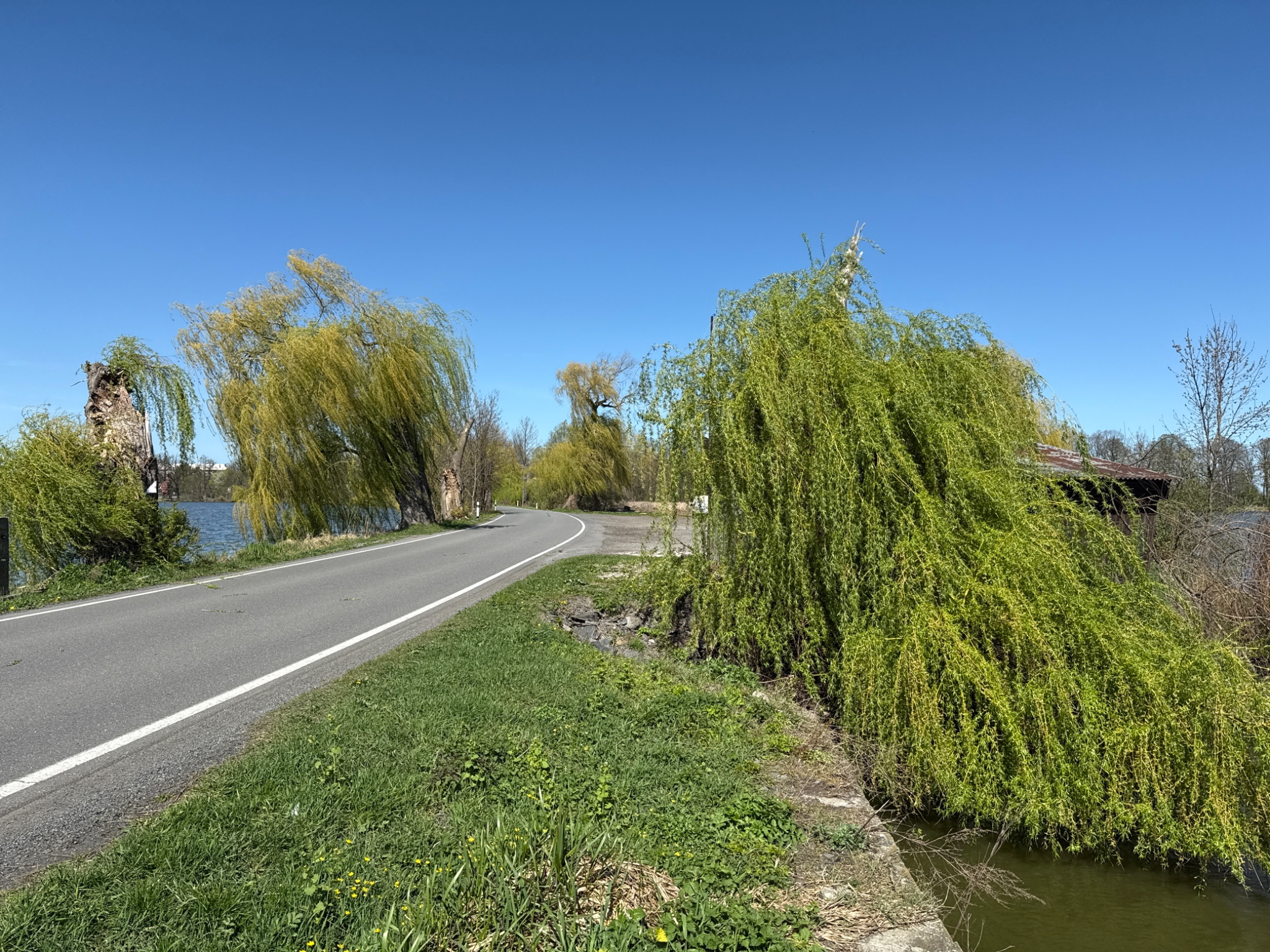 OriginalPhoto 766491003.20374