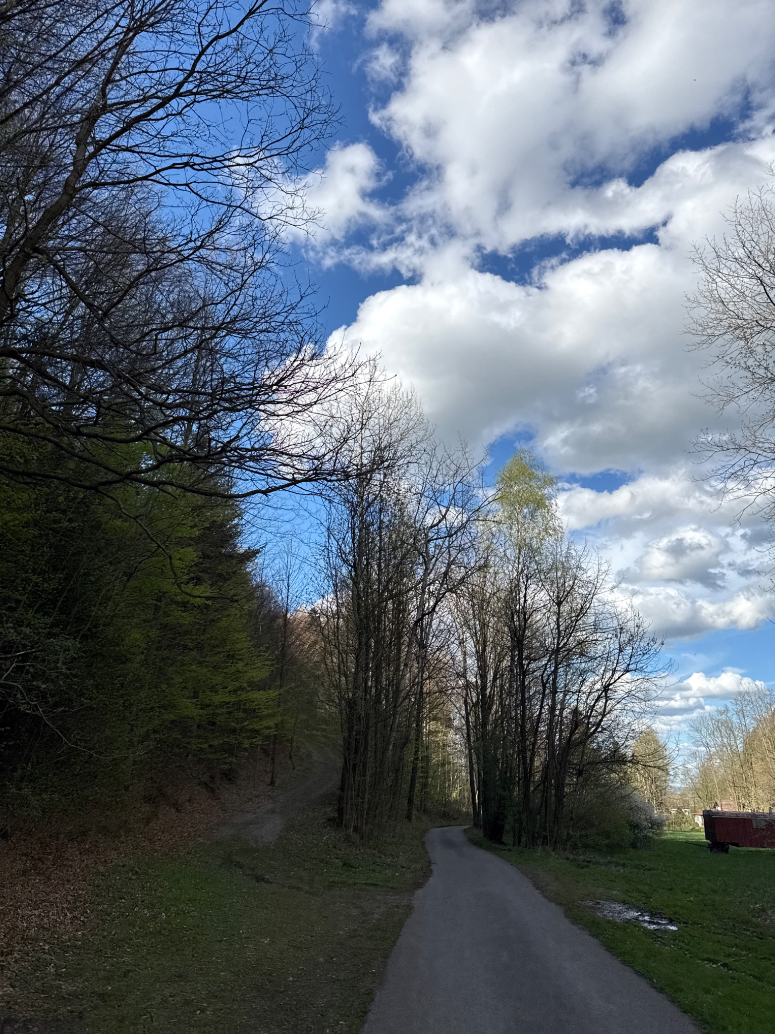 OriginalPhoto 766765902.612632