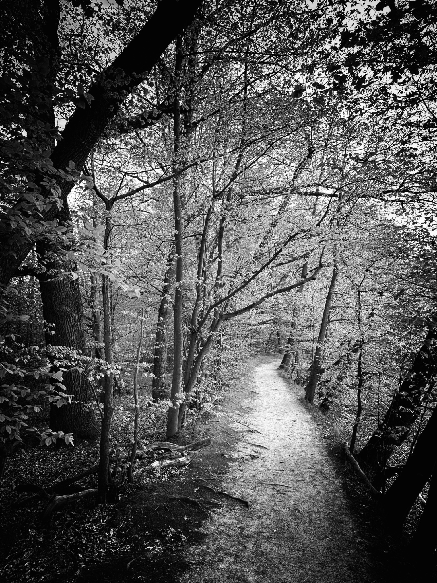 OriginalPhoto 766938349.603459