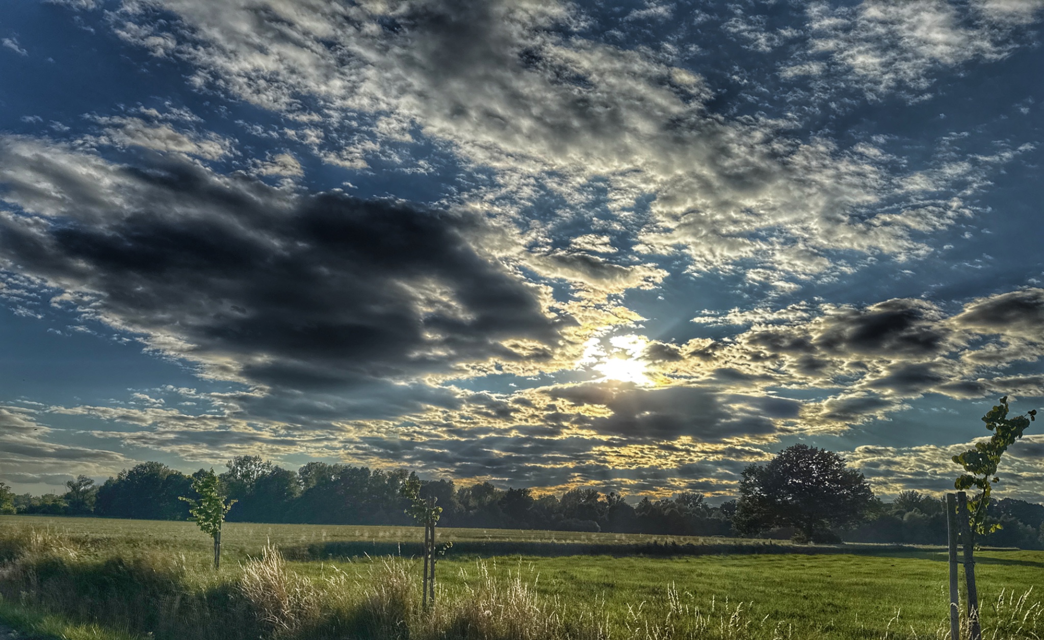 OriginalPhoto 772824234.094943