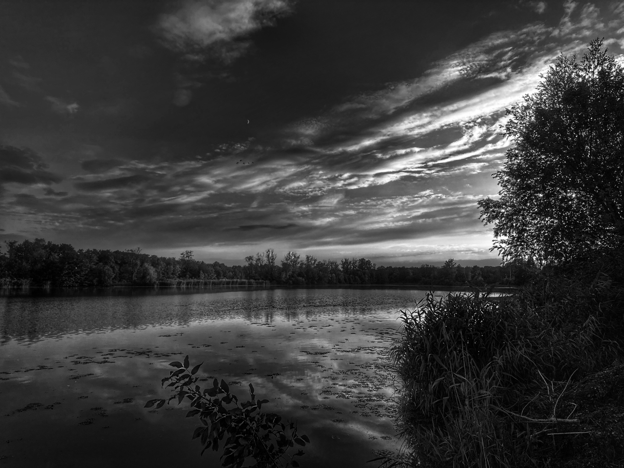 OriginalPhoto 775591019.708682