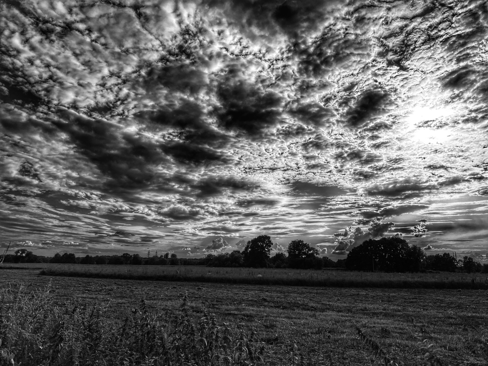 OriginalPhoto 775843358.596071