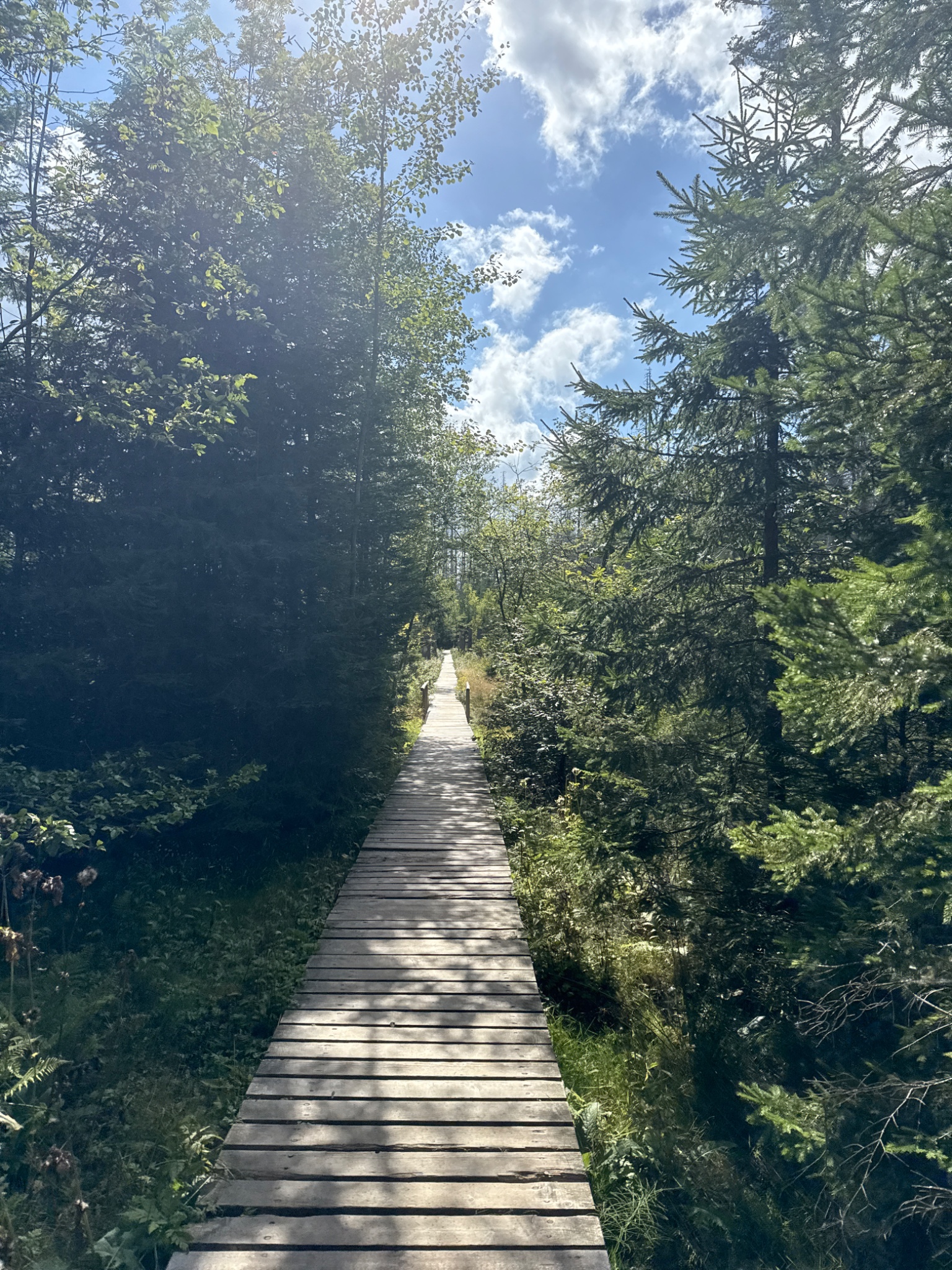 OriginalPhoto 777128808.106806