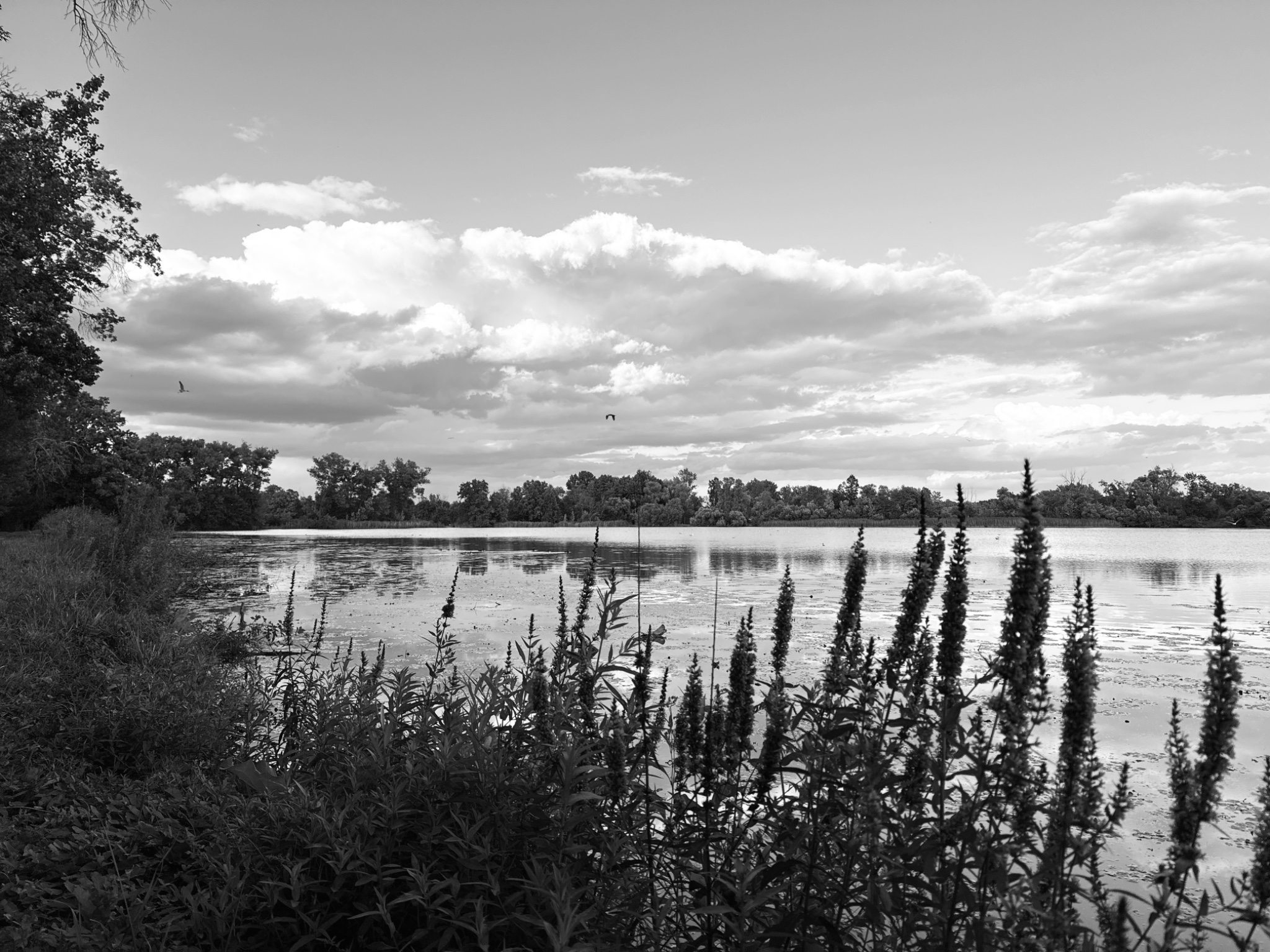 OriginalPhoto 777660858.117364