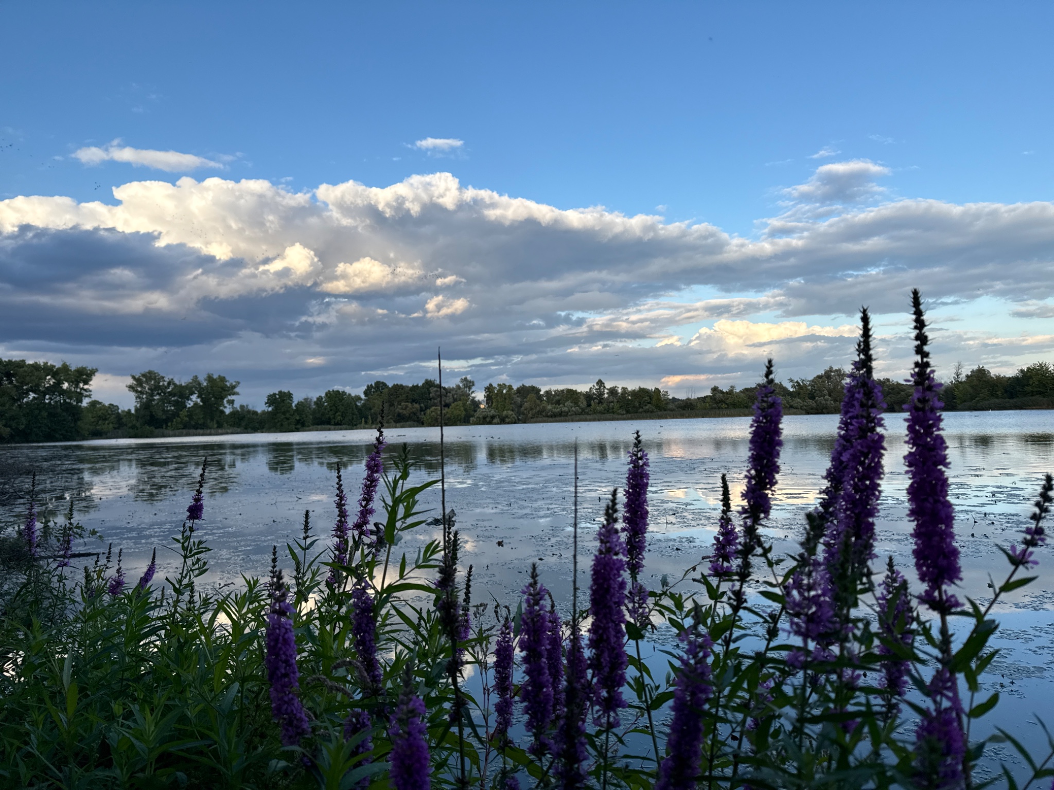 OriginalPhoto 777660915.262446