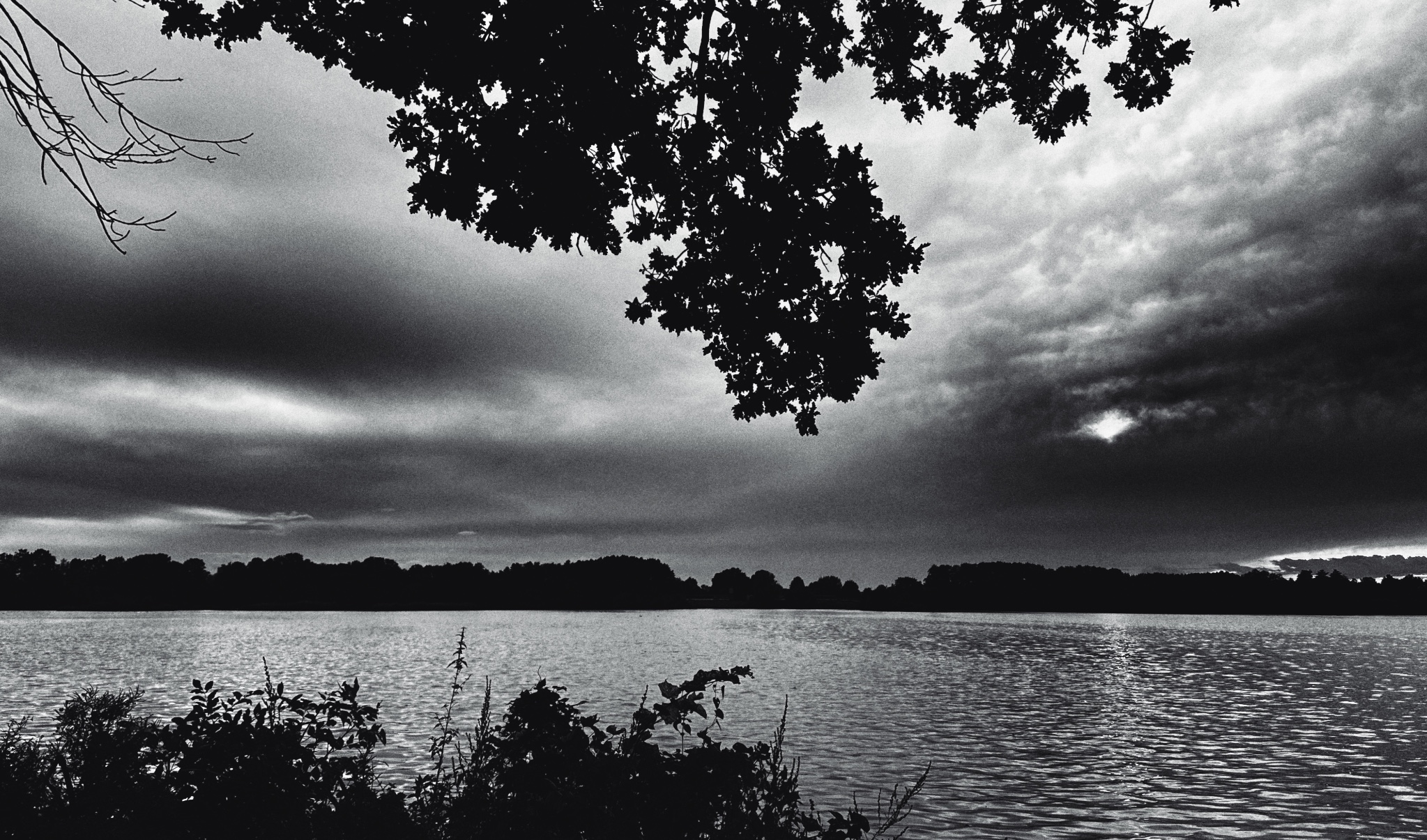 OriginalPhoto 779731000.415643