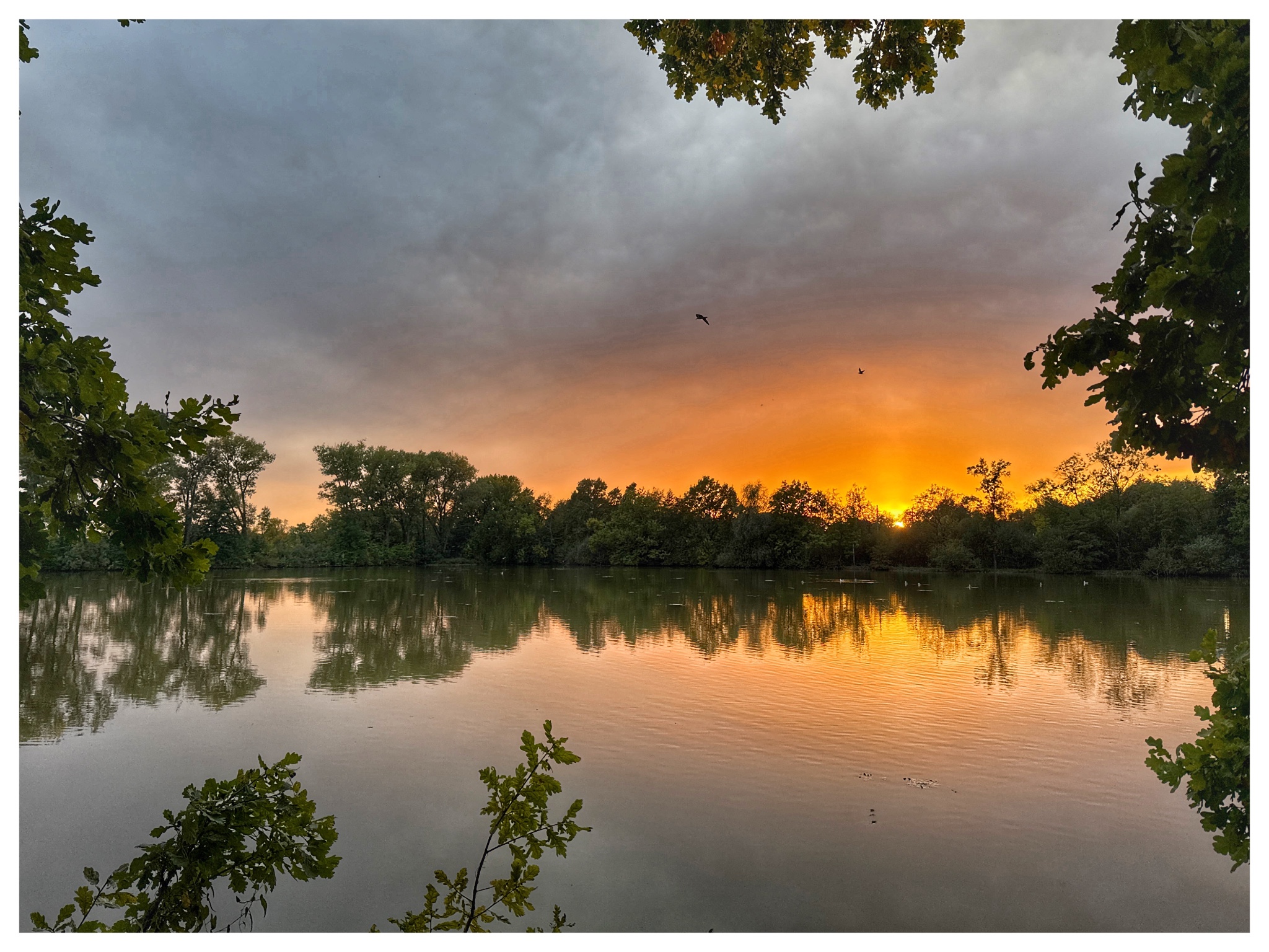 OriginalPhoto 779733884.000198