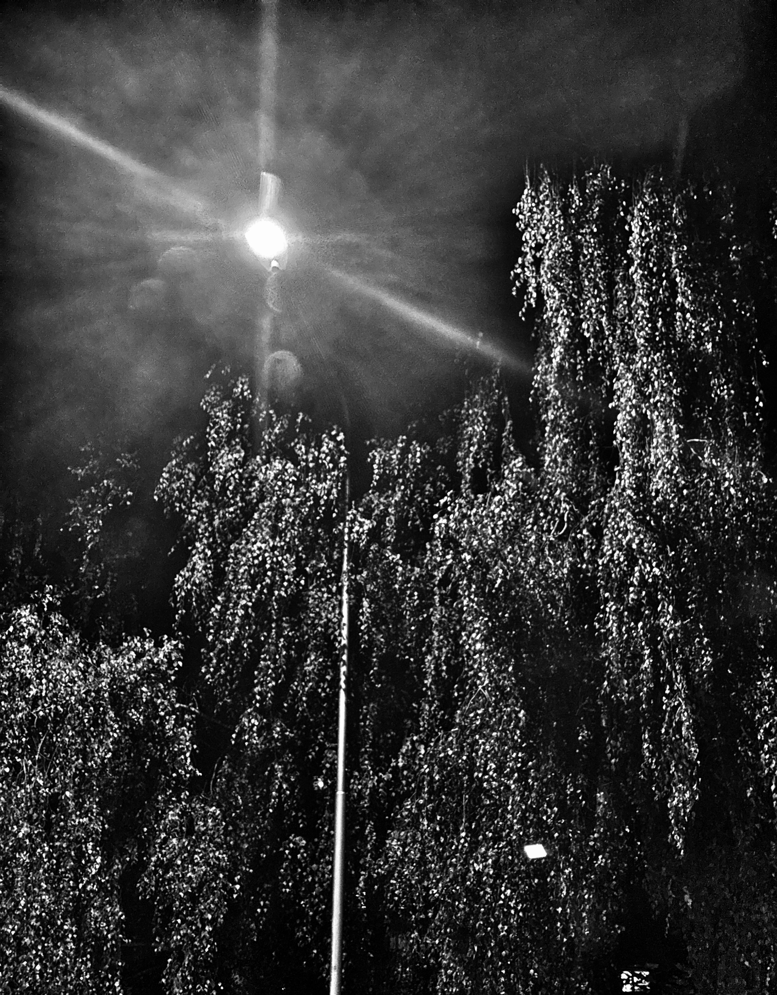 OriginalPhoto 782070322.820003