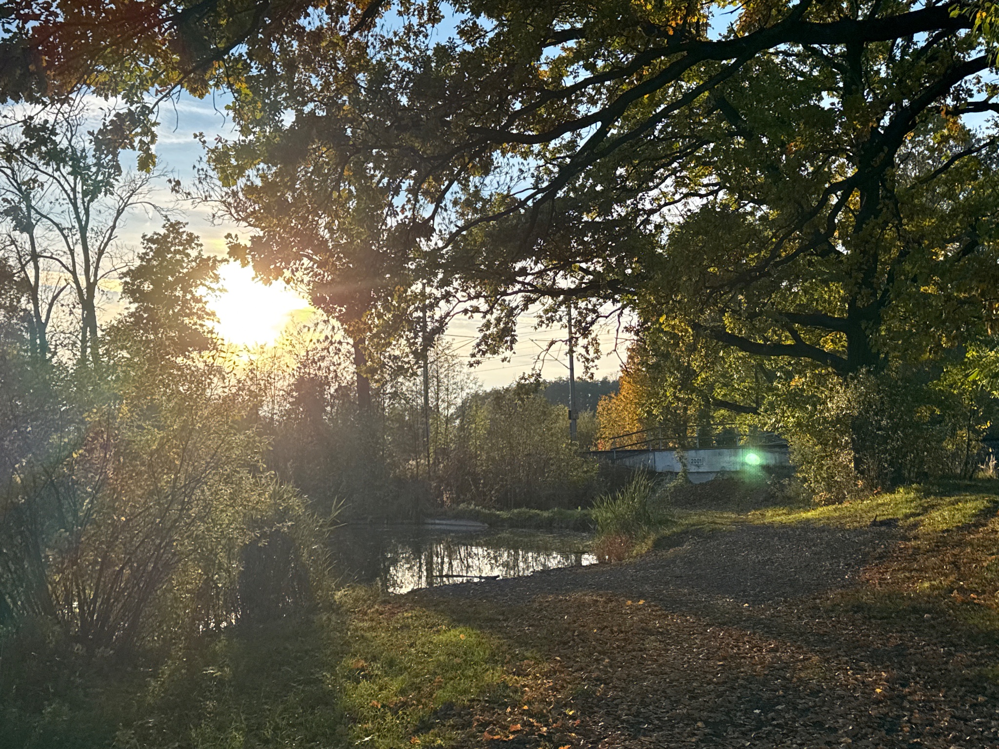 OriginalPhoto 782578087.885384