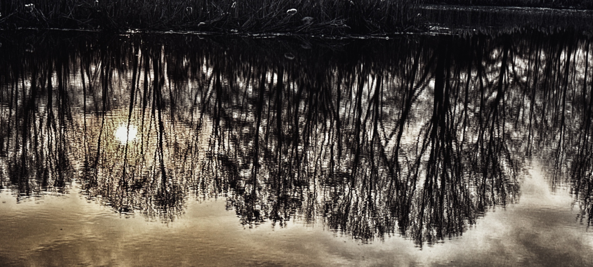 OriginalPhoto 794677446.013745