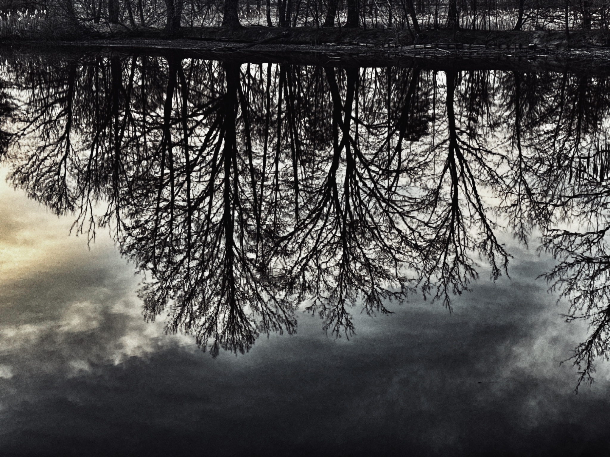 OriginalPhoto 794677500.103263