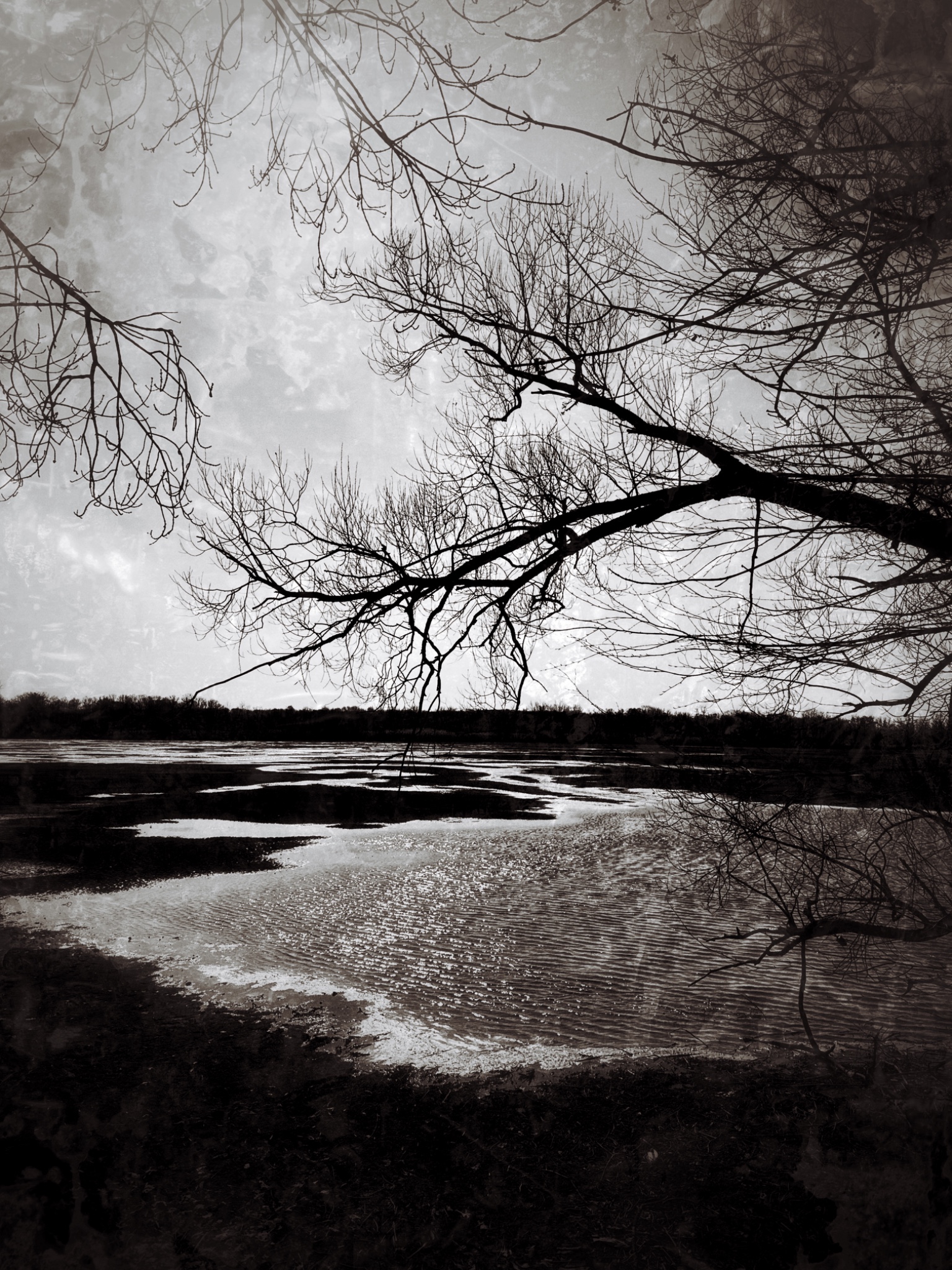 OriginalPhoto 794832295.098546